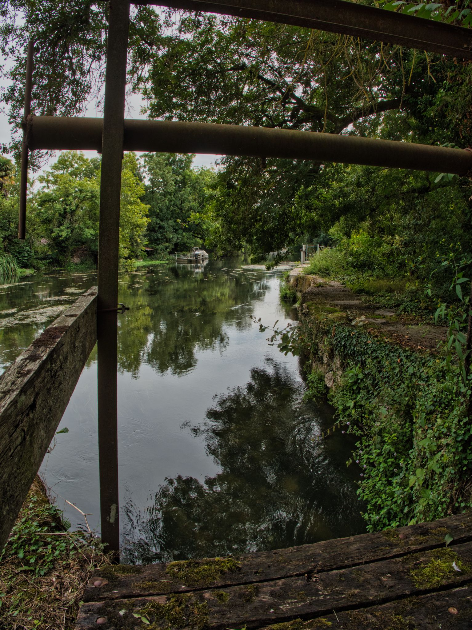 P1004508