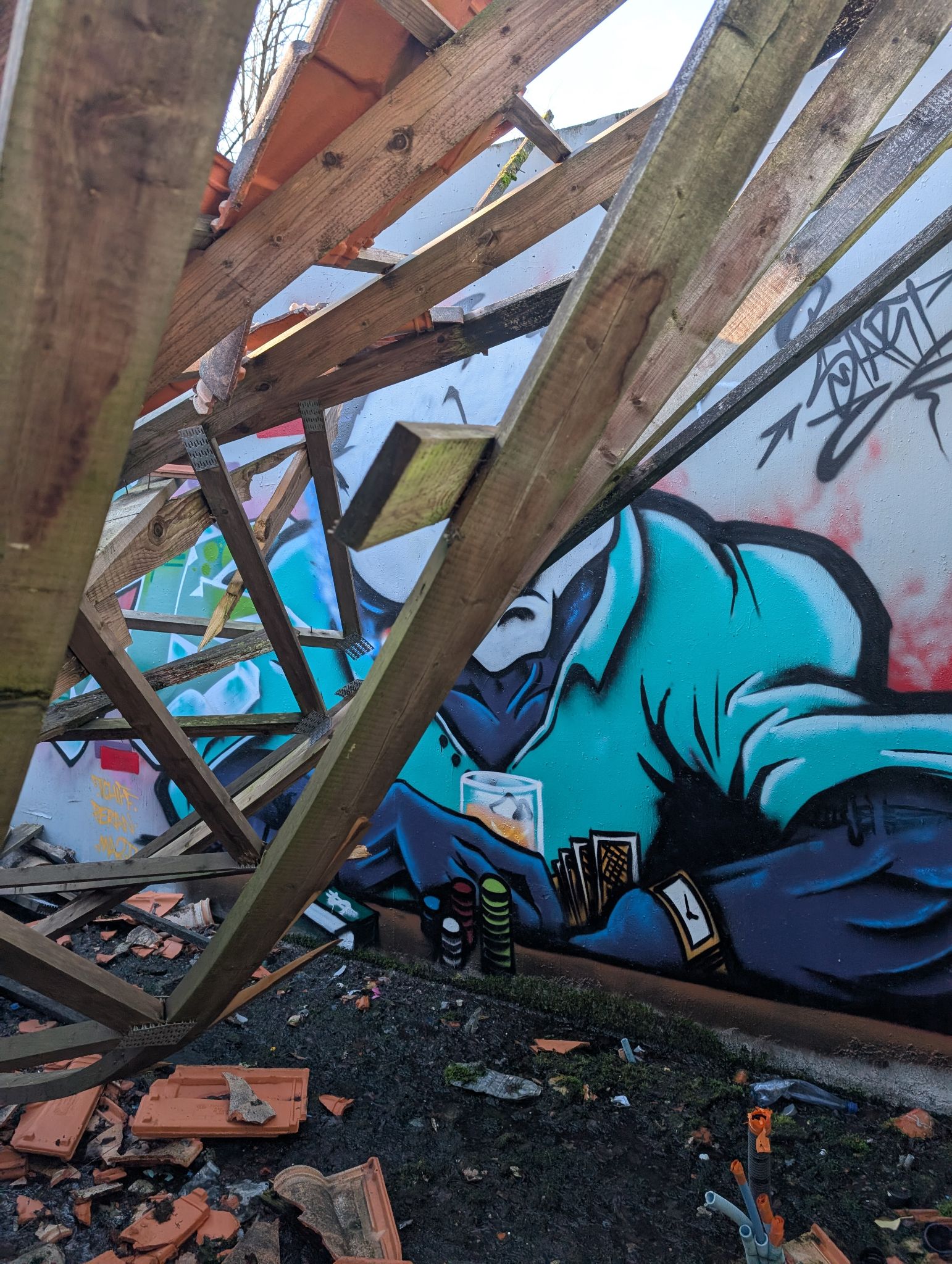 PXL 20250112 141855153