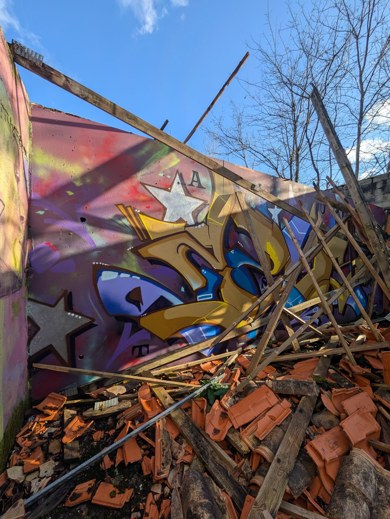 PXL 20250112 142021501