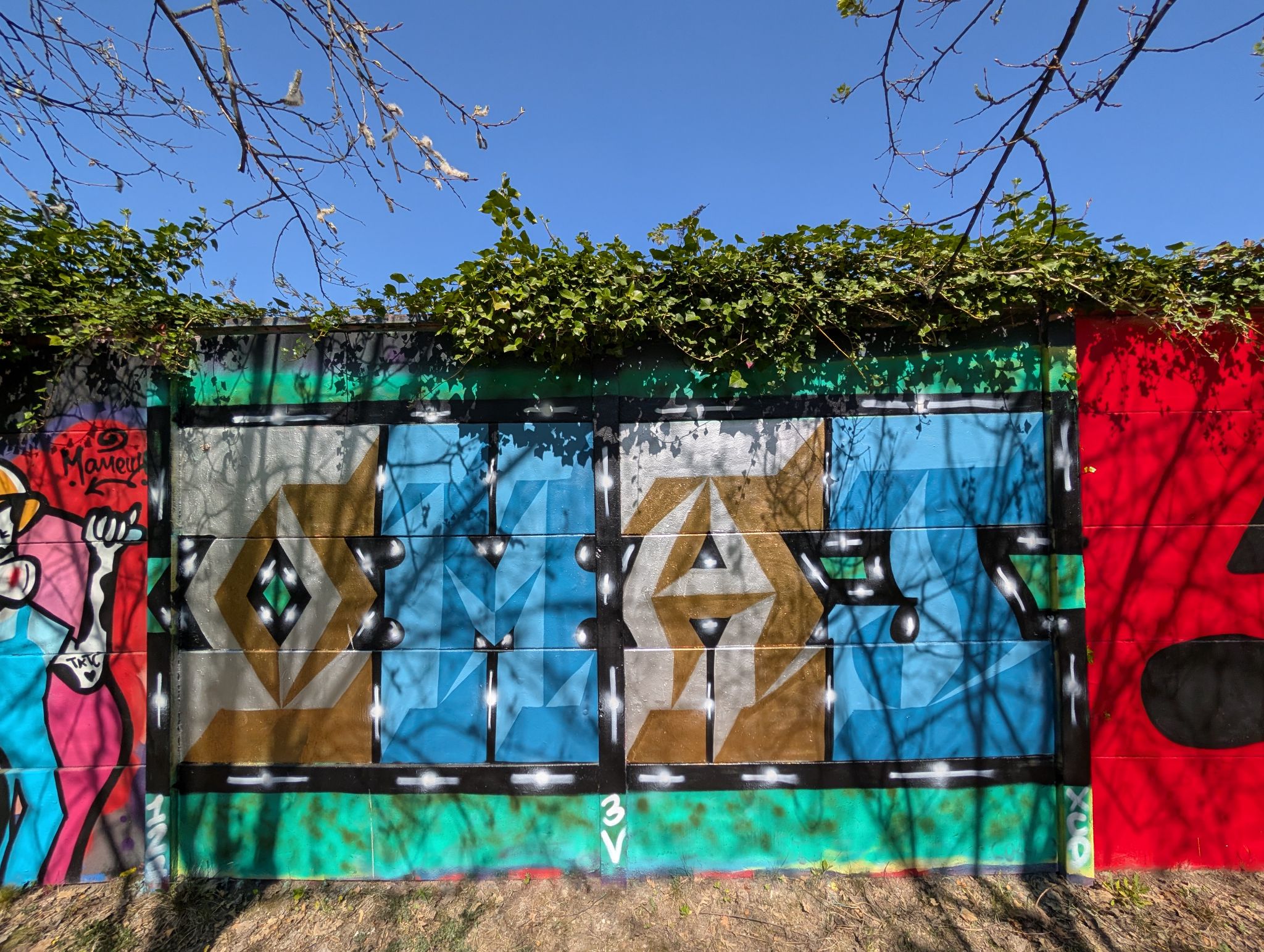 PXL 20250410 135507169