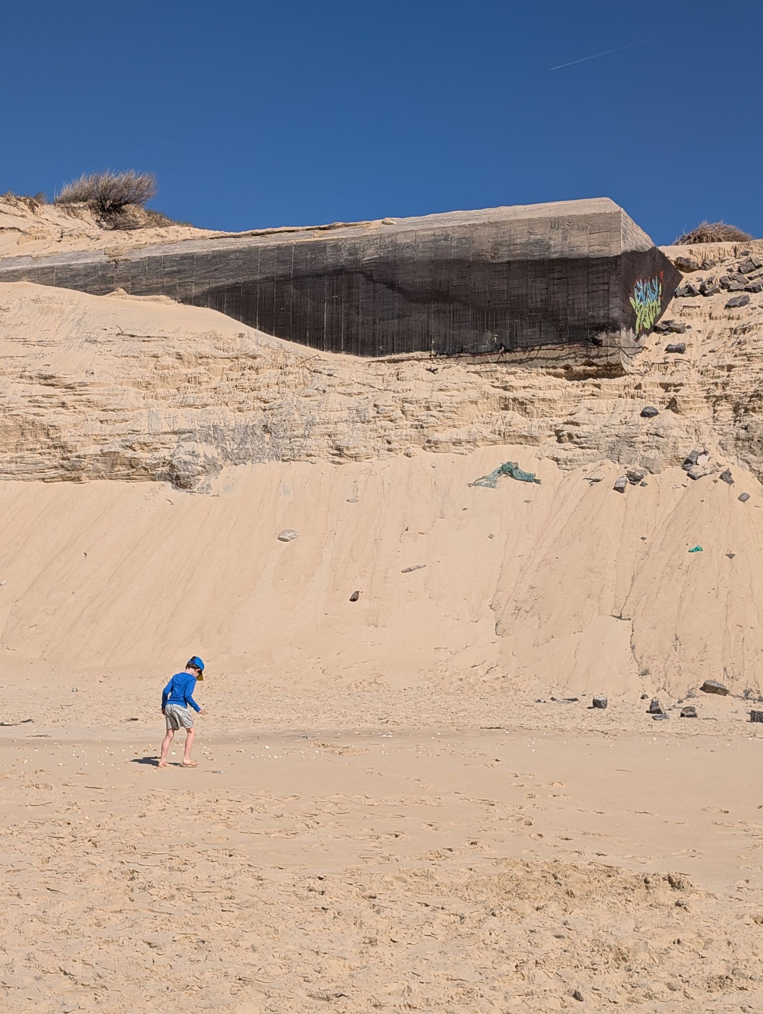 PXL 20260408 135952537