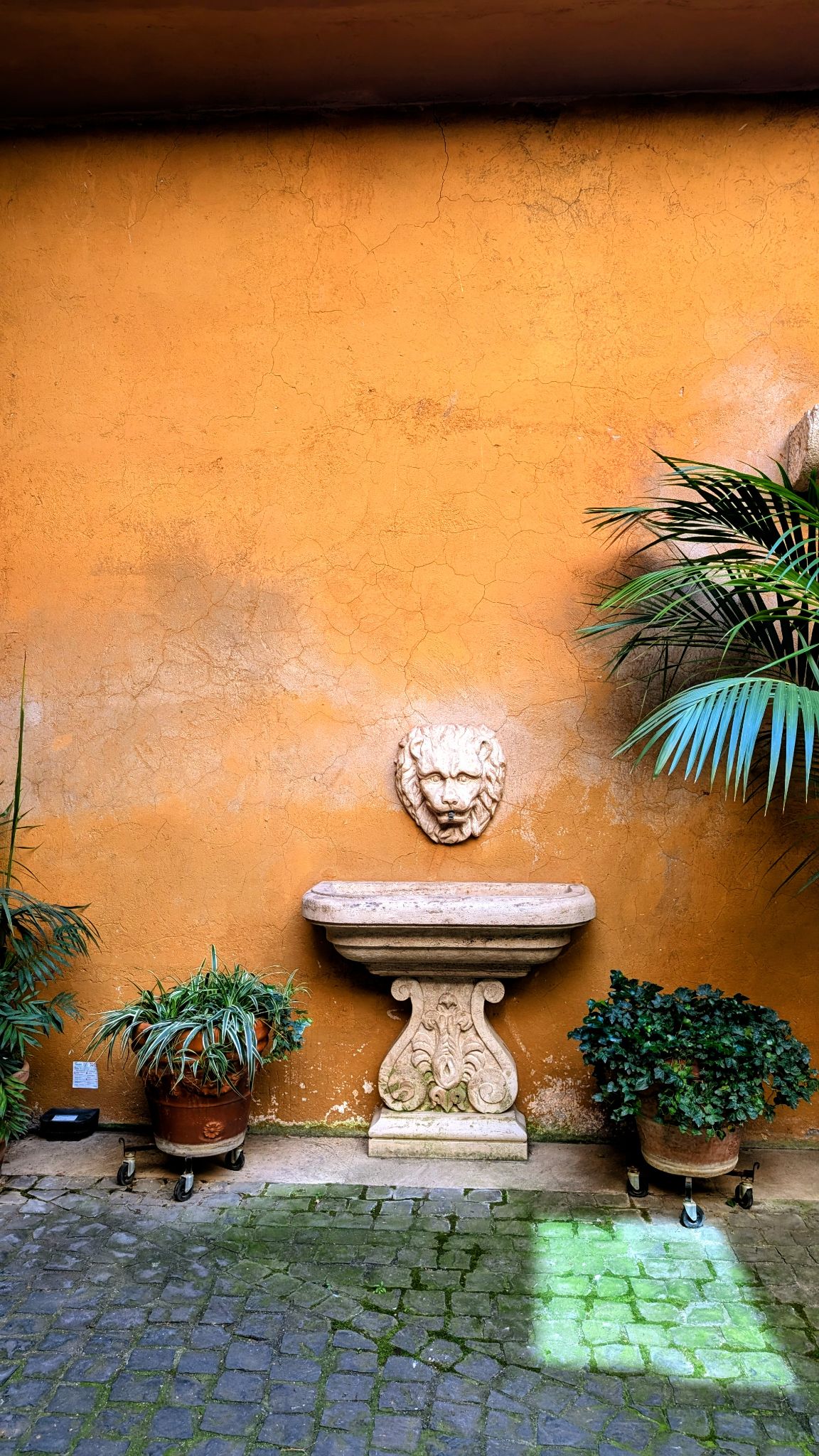 PXL 20260411 092251989~2