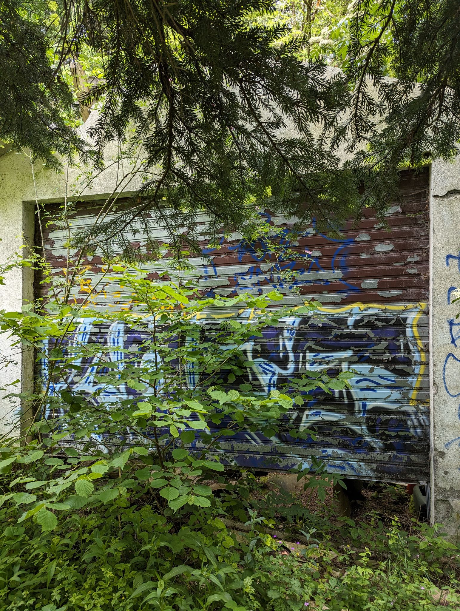 PXL 20240614 092408988