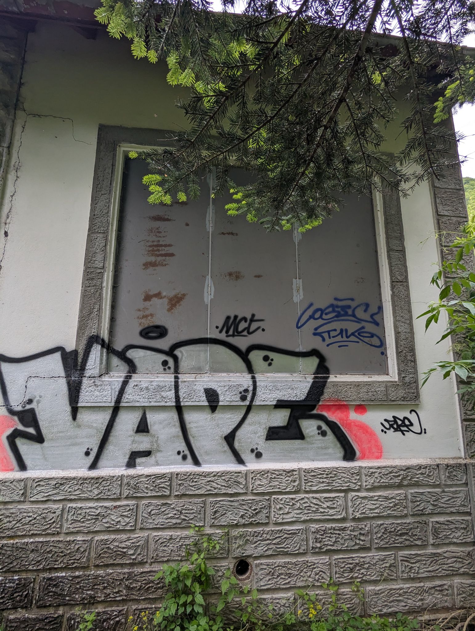 PXL 20240614 092547923