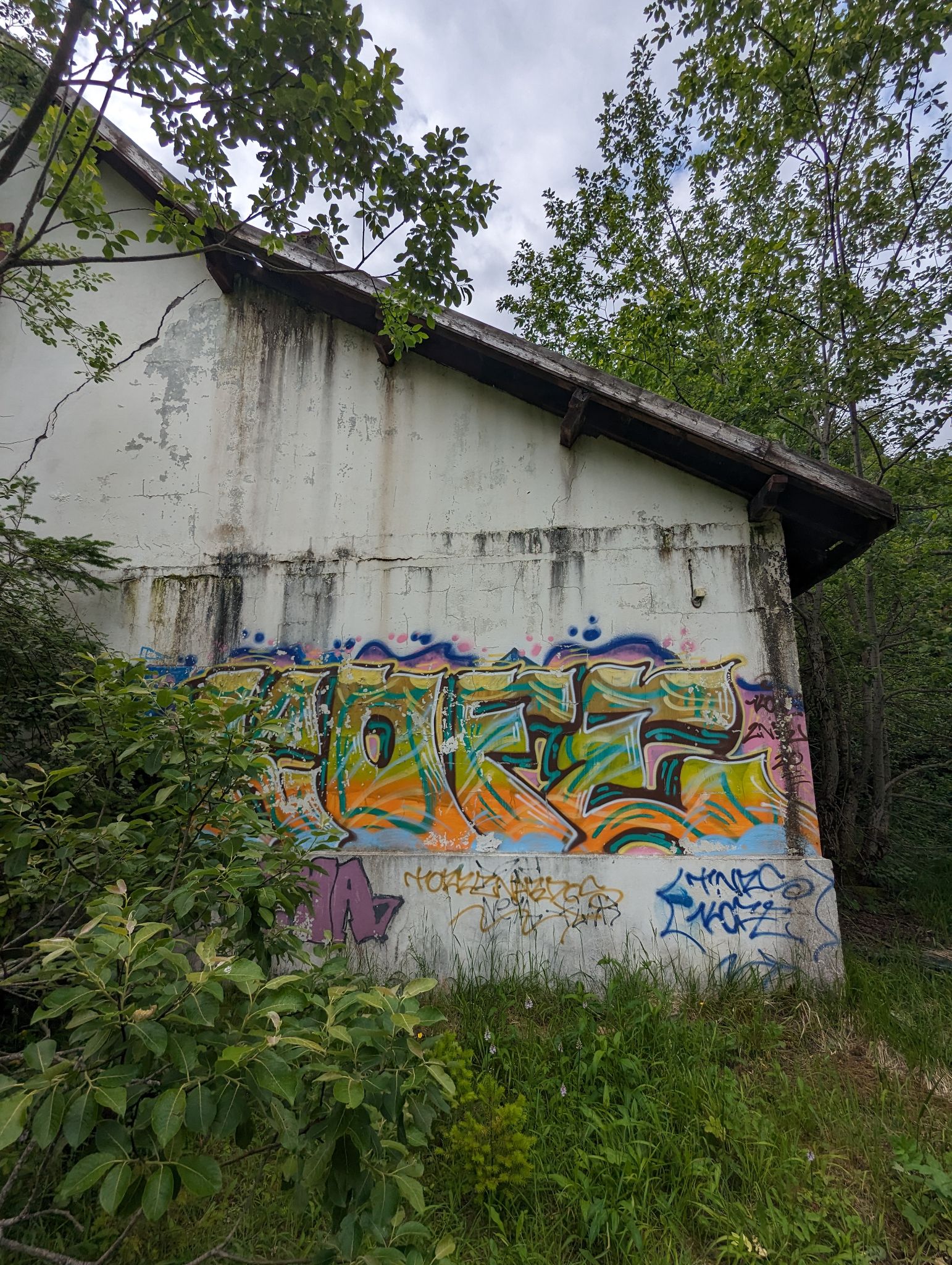 PXL 20240614 092625564