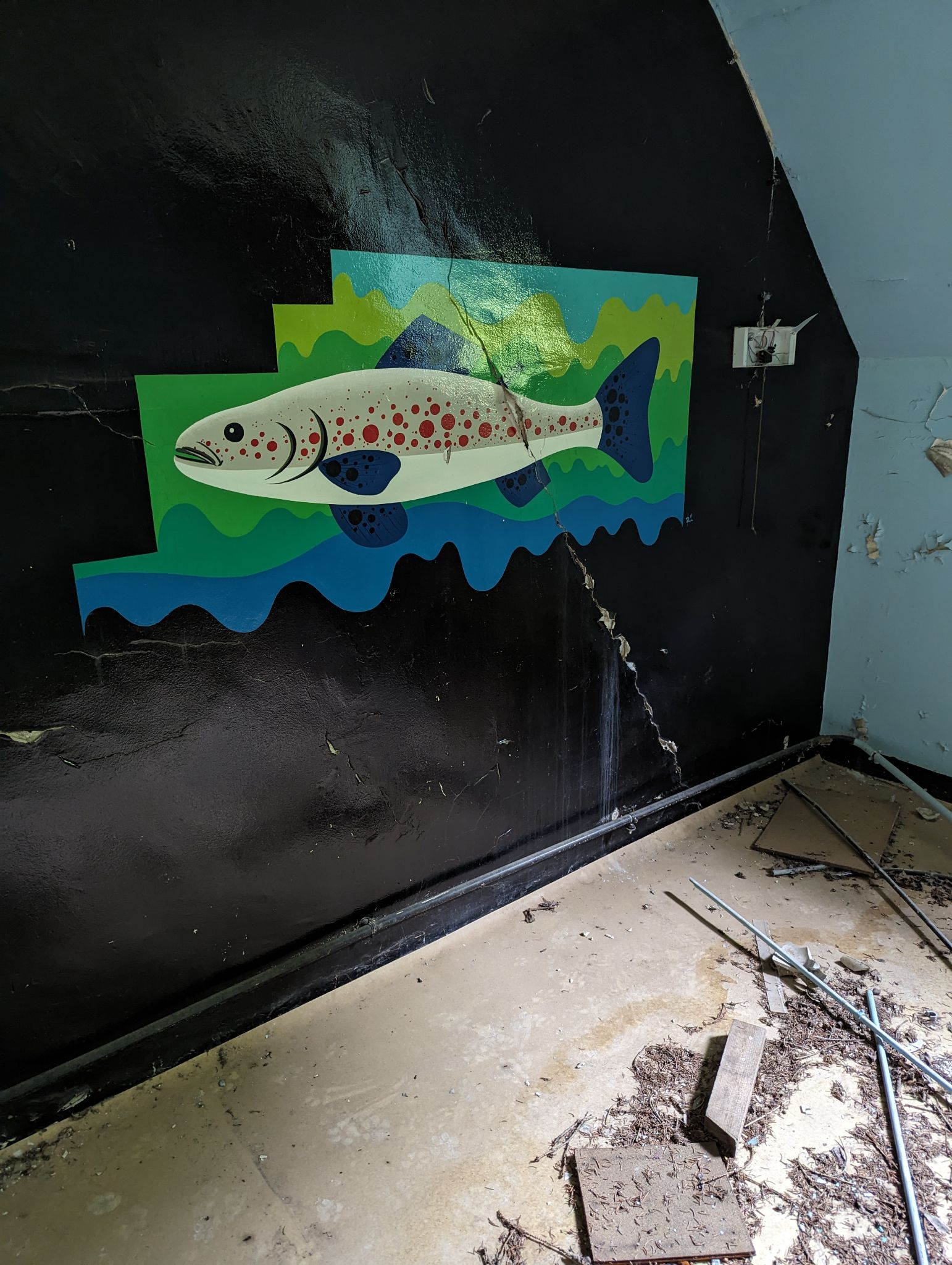 PXL 20240614 093507581