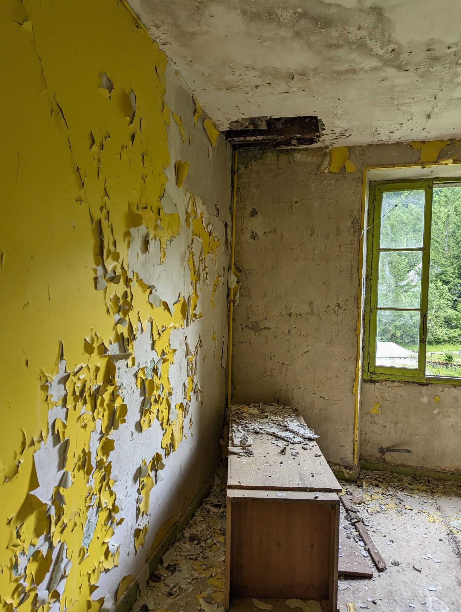 PXL 20240614 093613548