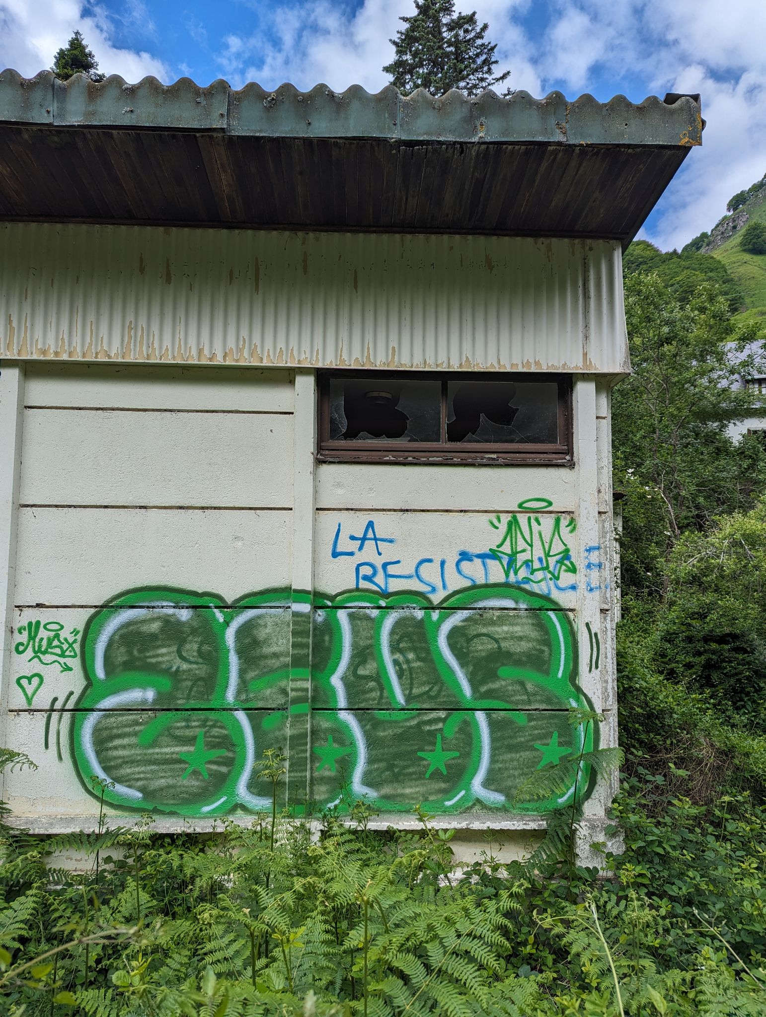 PXL 20240614 094322471