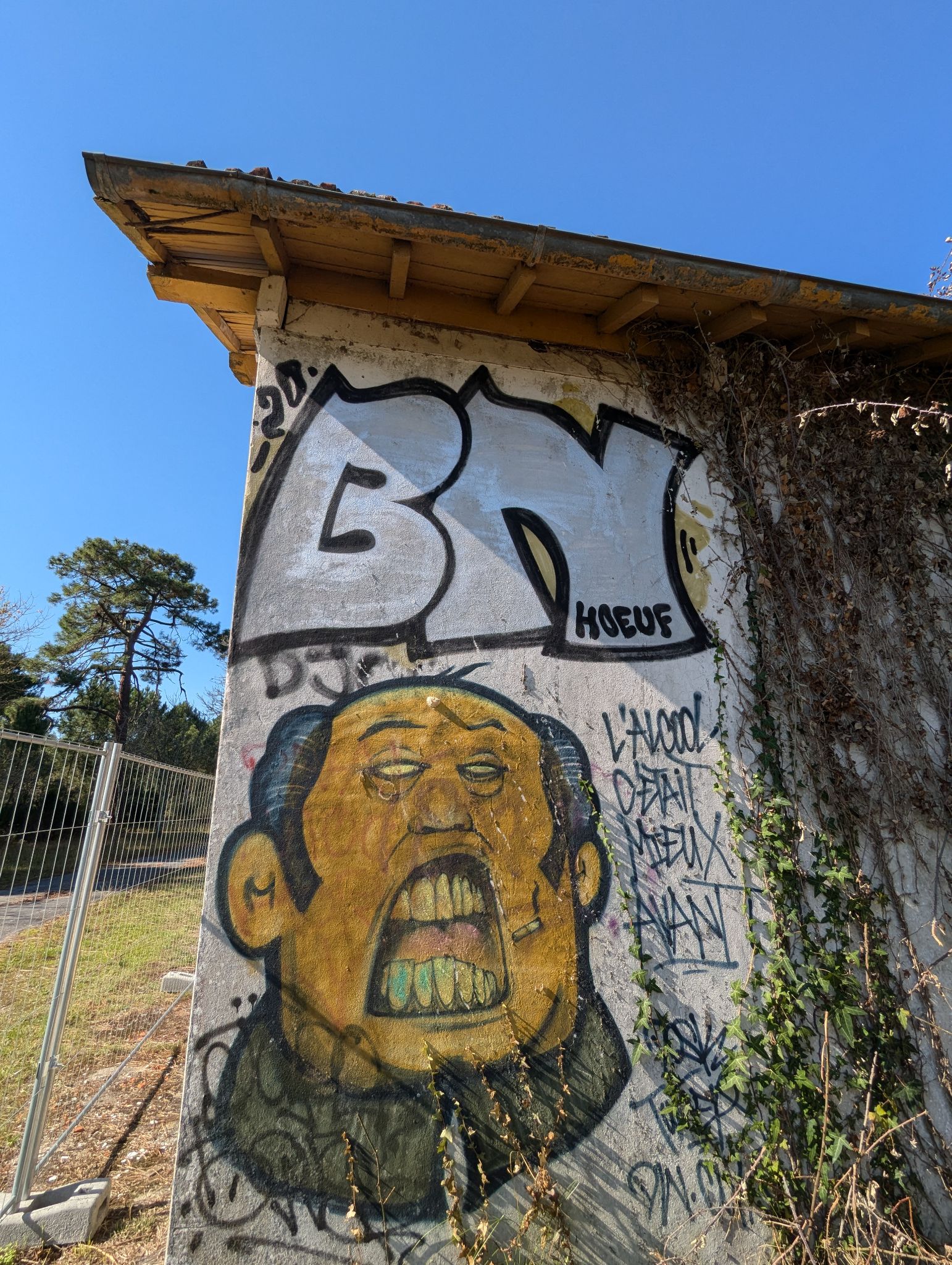 PXL 20241013 115205299