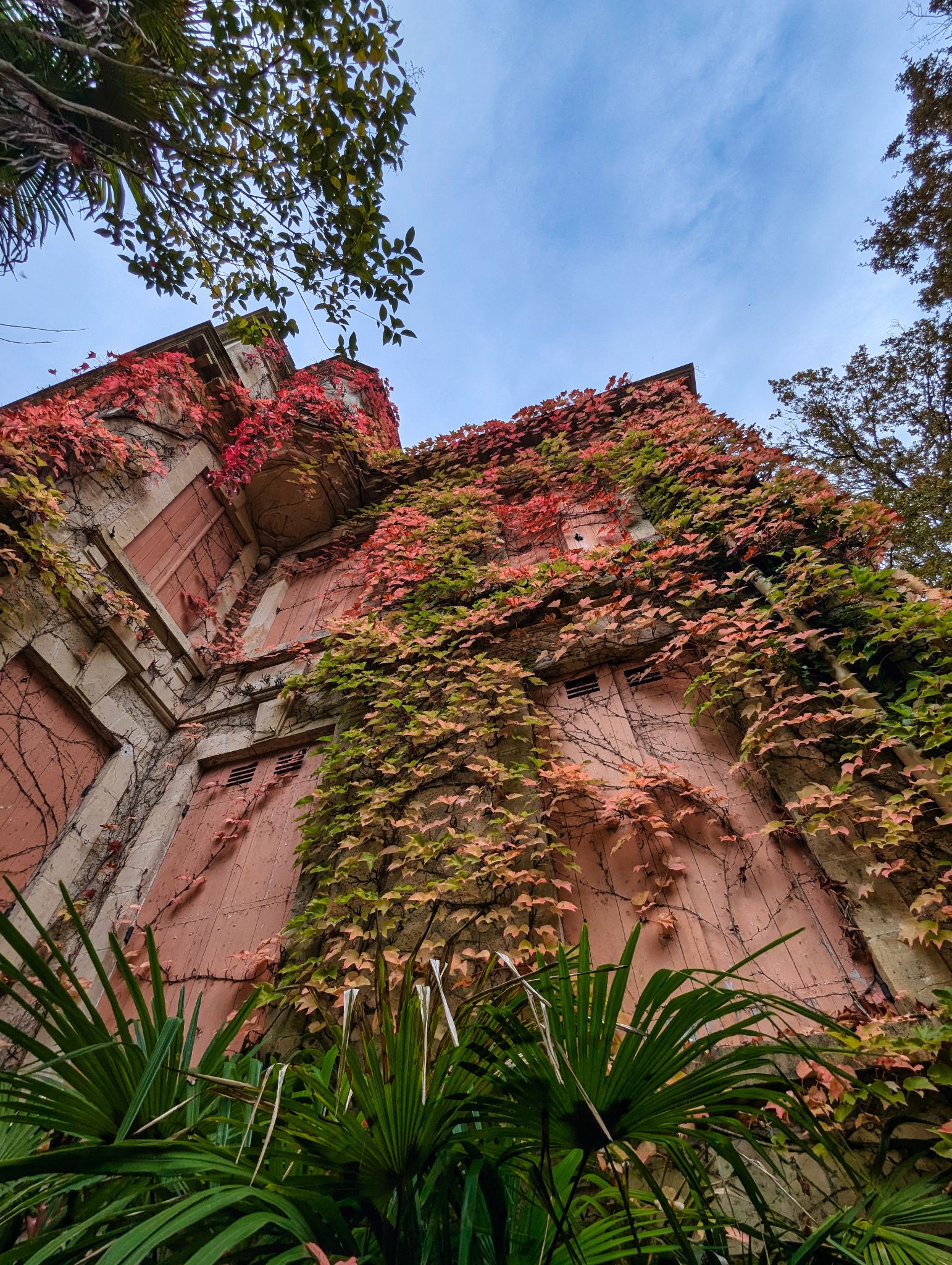 PXL 20241020 122913194