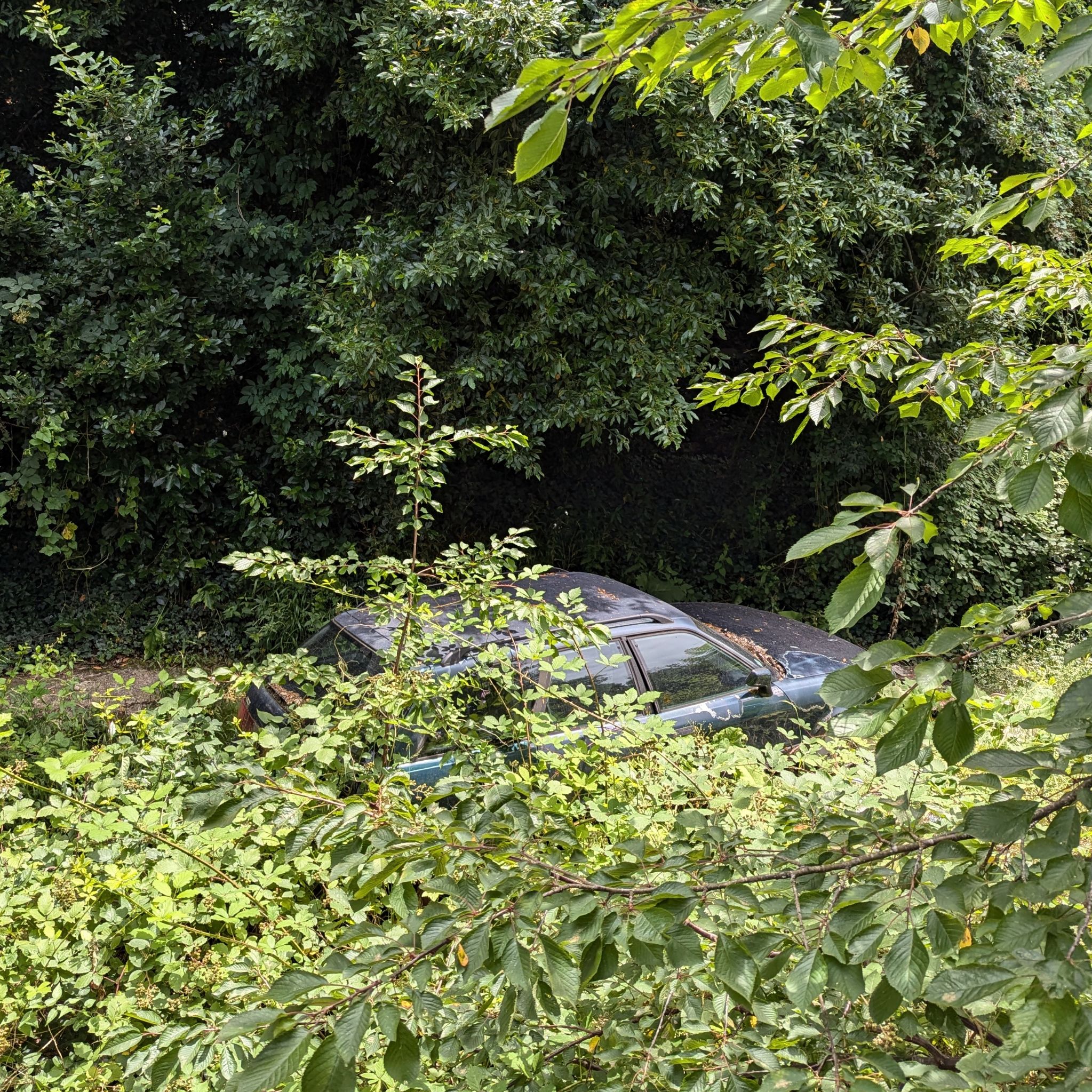 PXL 20240702 123348357