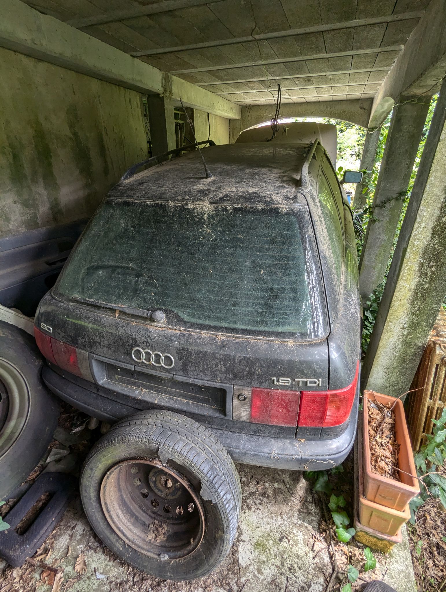 PXL 20240702 123527775