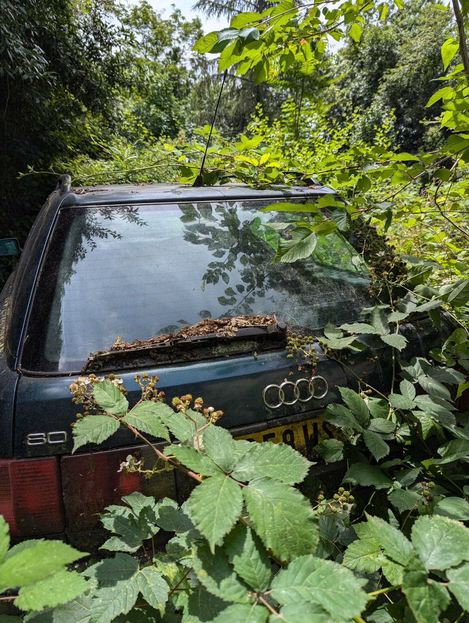 PXL 20240702 123758498.MP