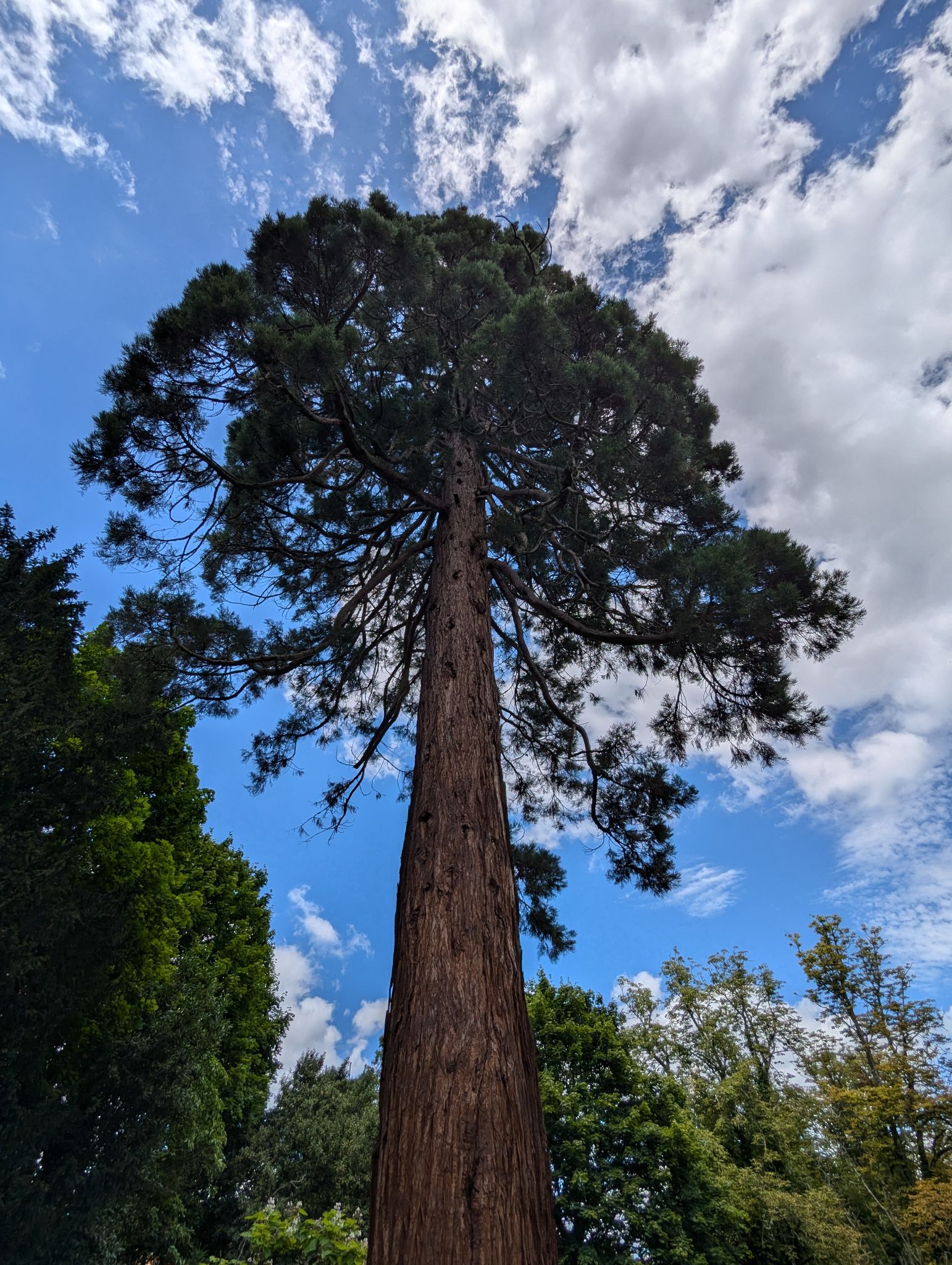 PXL 20240630 123917957.MP