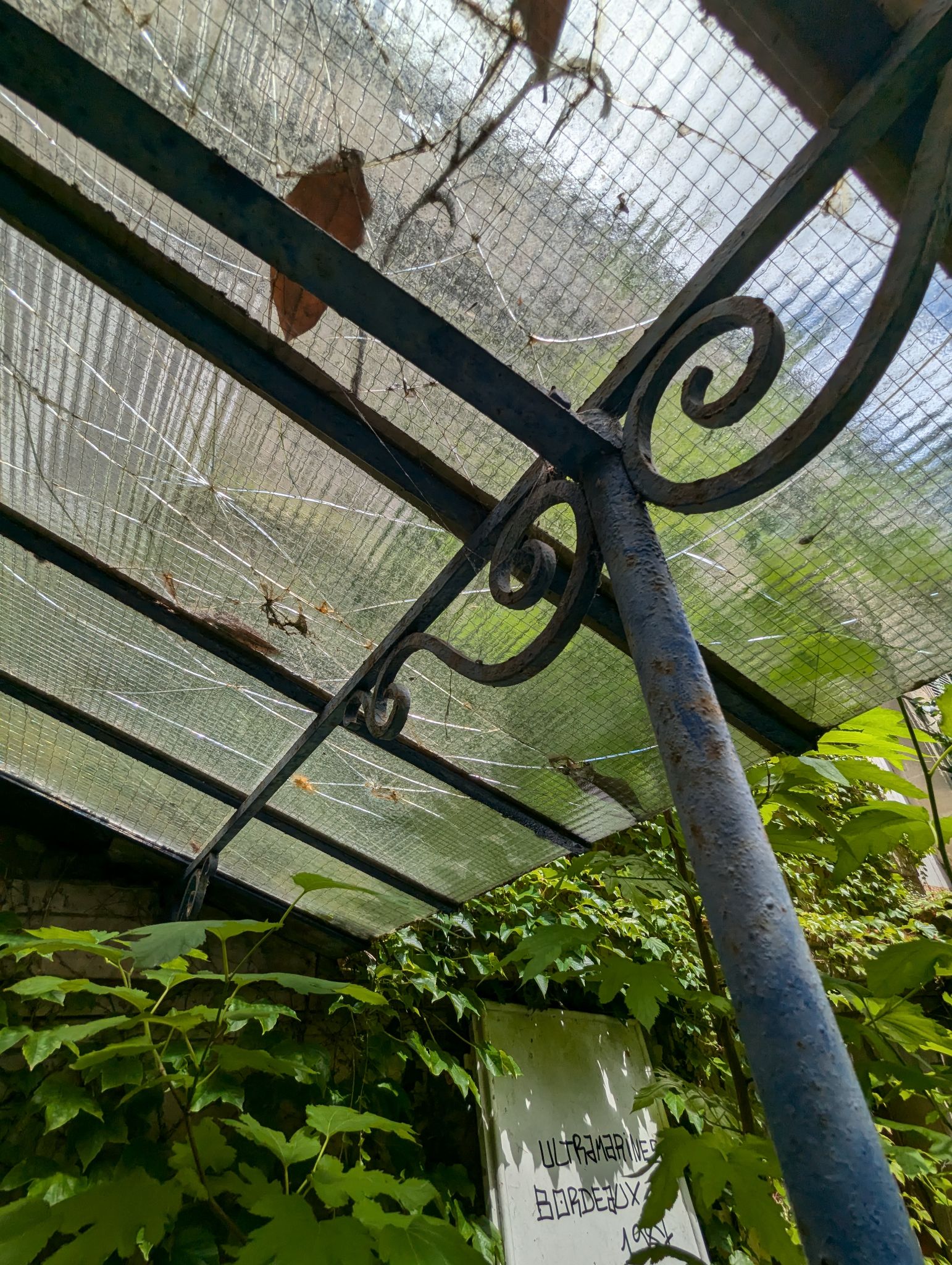 PXL 20240630 124159460