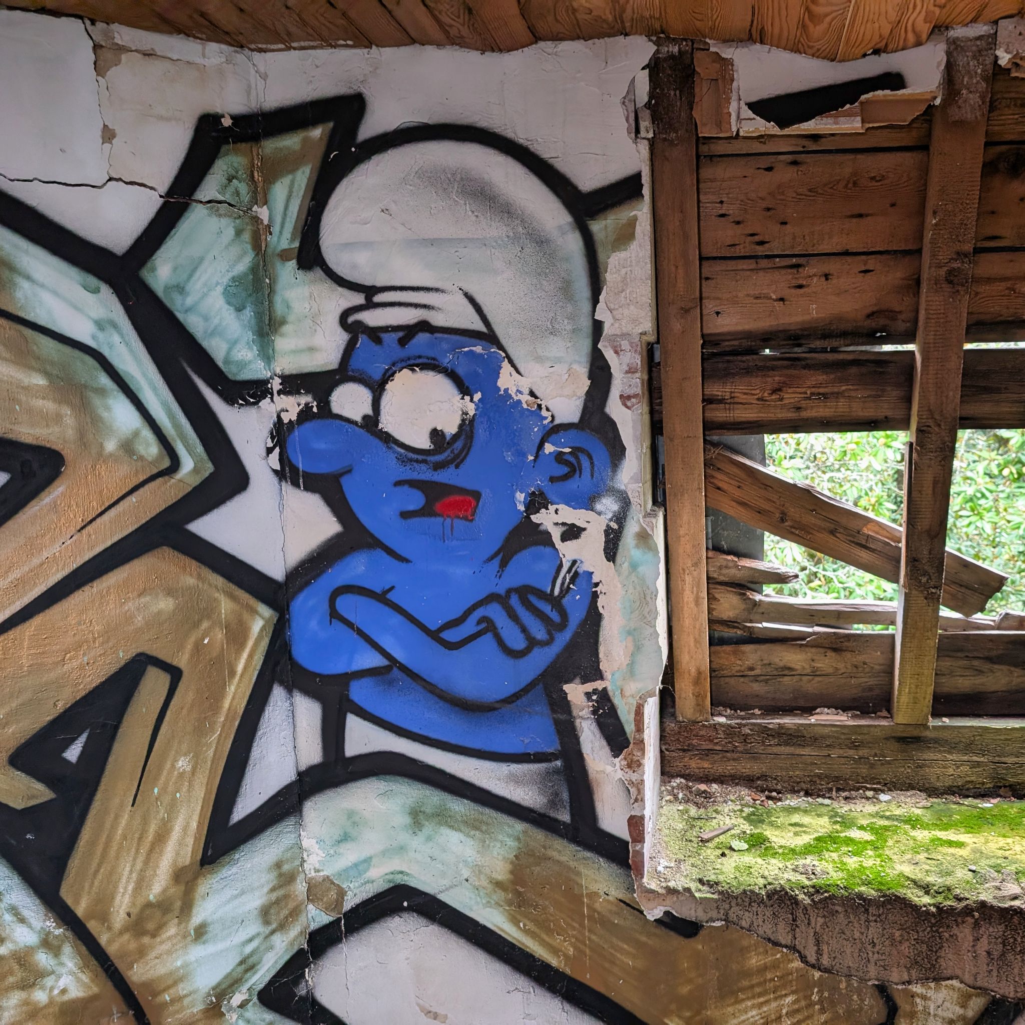 PXL 20250928 115030385