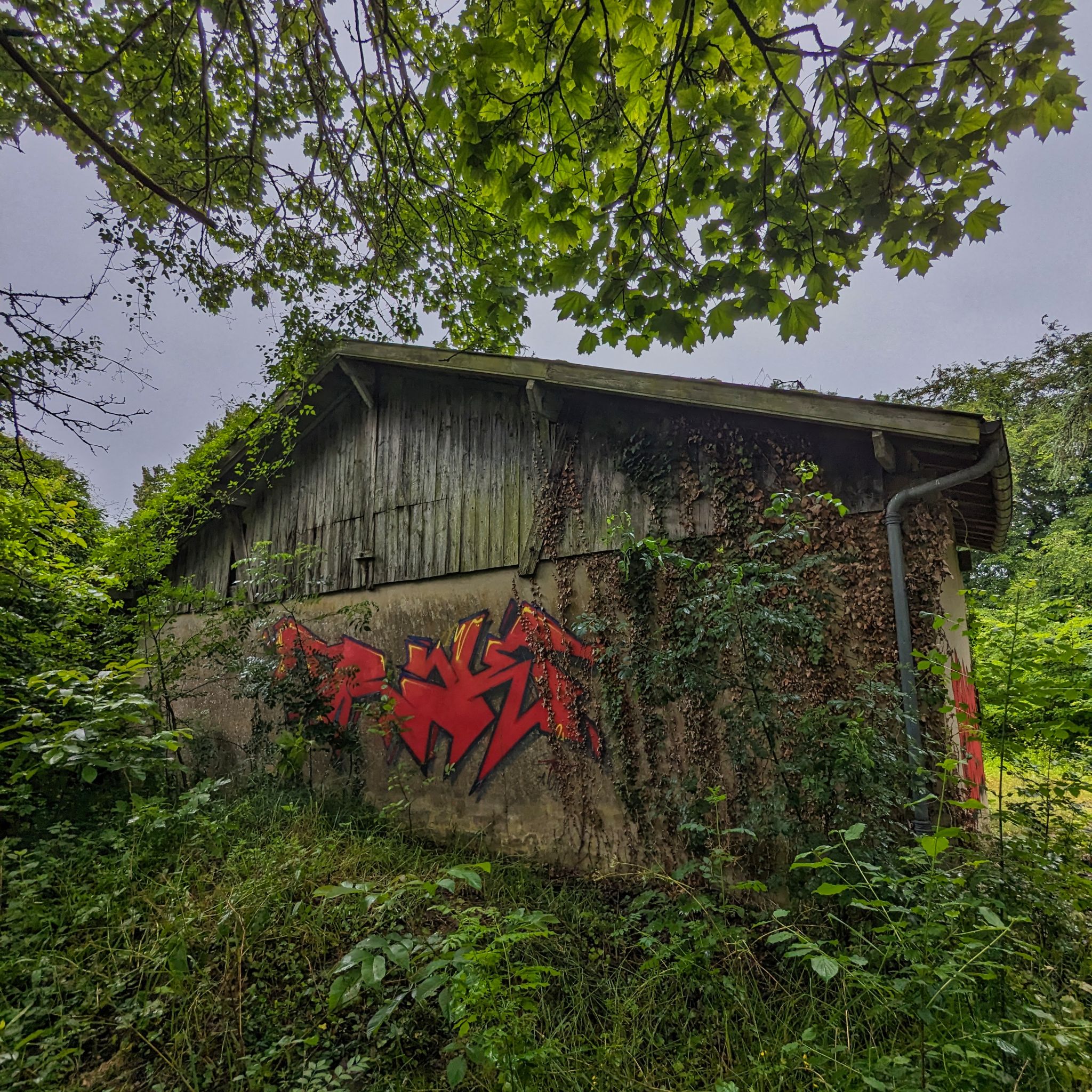 PXL 20240609 092002824