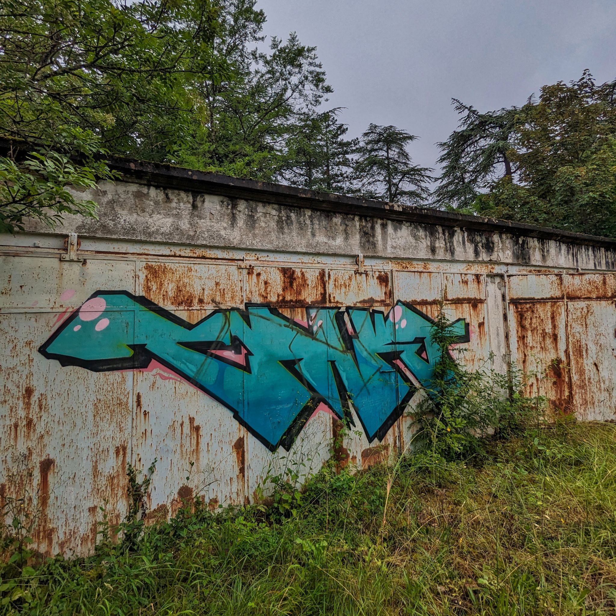 PXL 20240609 092210676