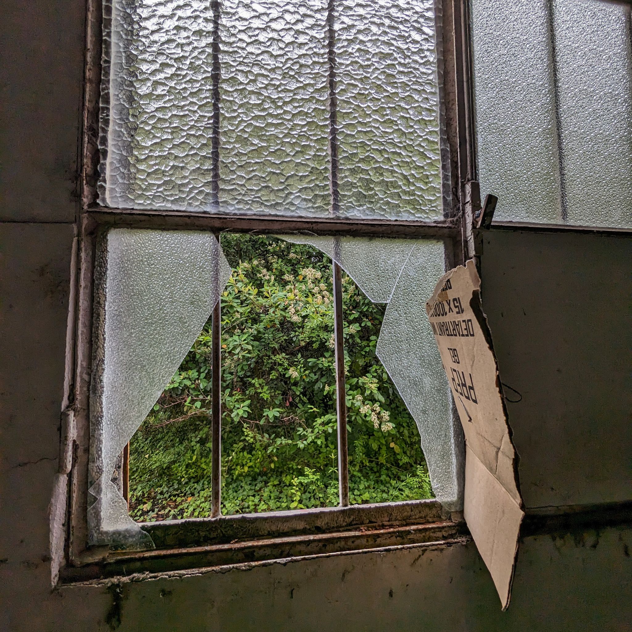 PXL 20240609 092734190