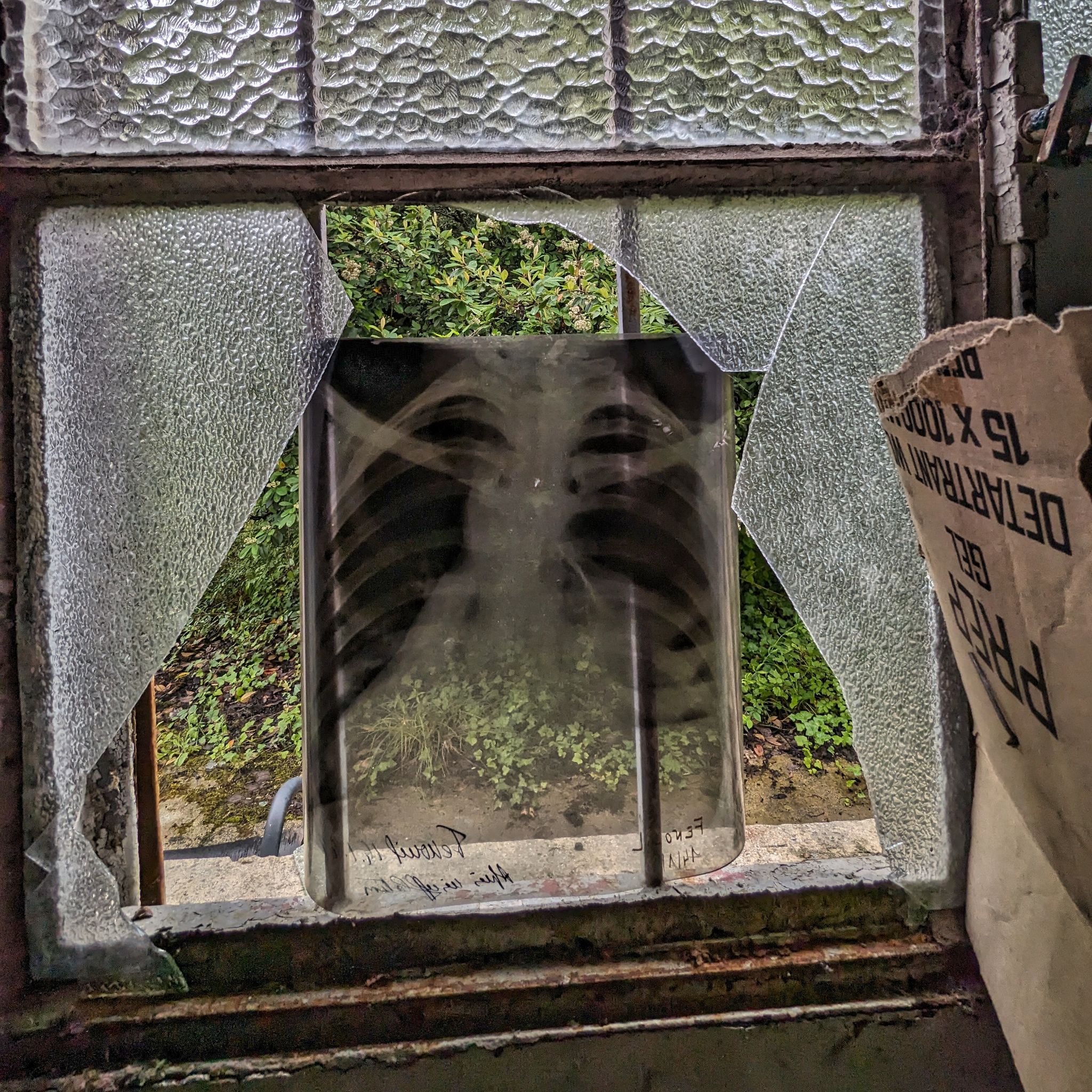 PXL 20240609 092832930