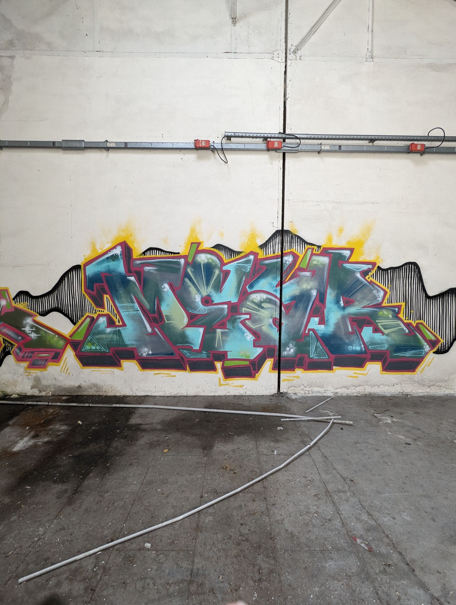 PXL 20240408 110829856