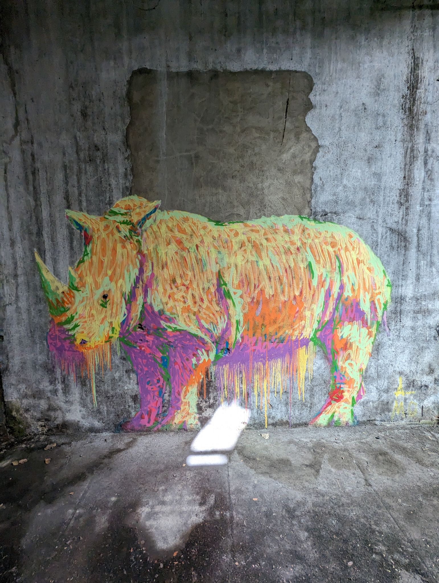 PXL 20240408 111747628