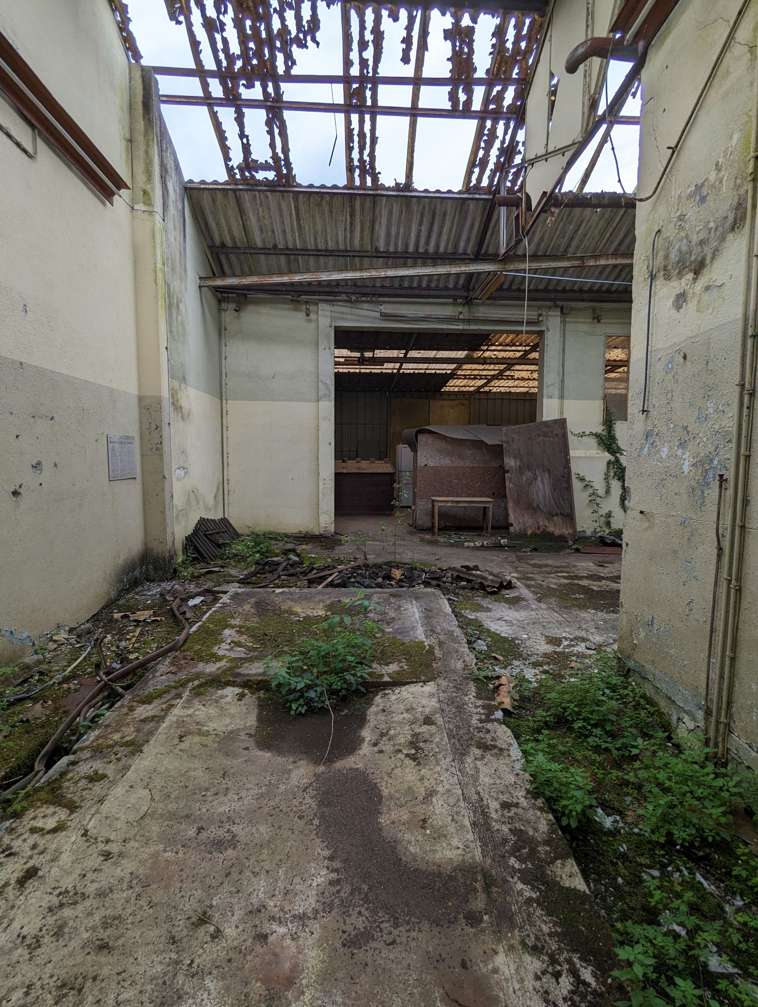 PXL 20240526 091151964