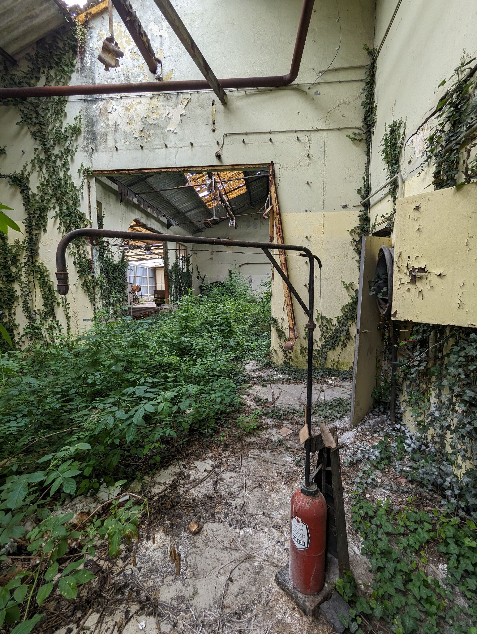 PXL 20240526 091213850