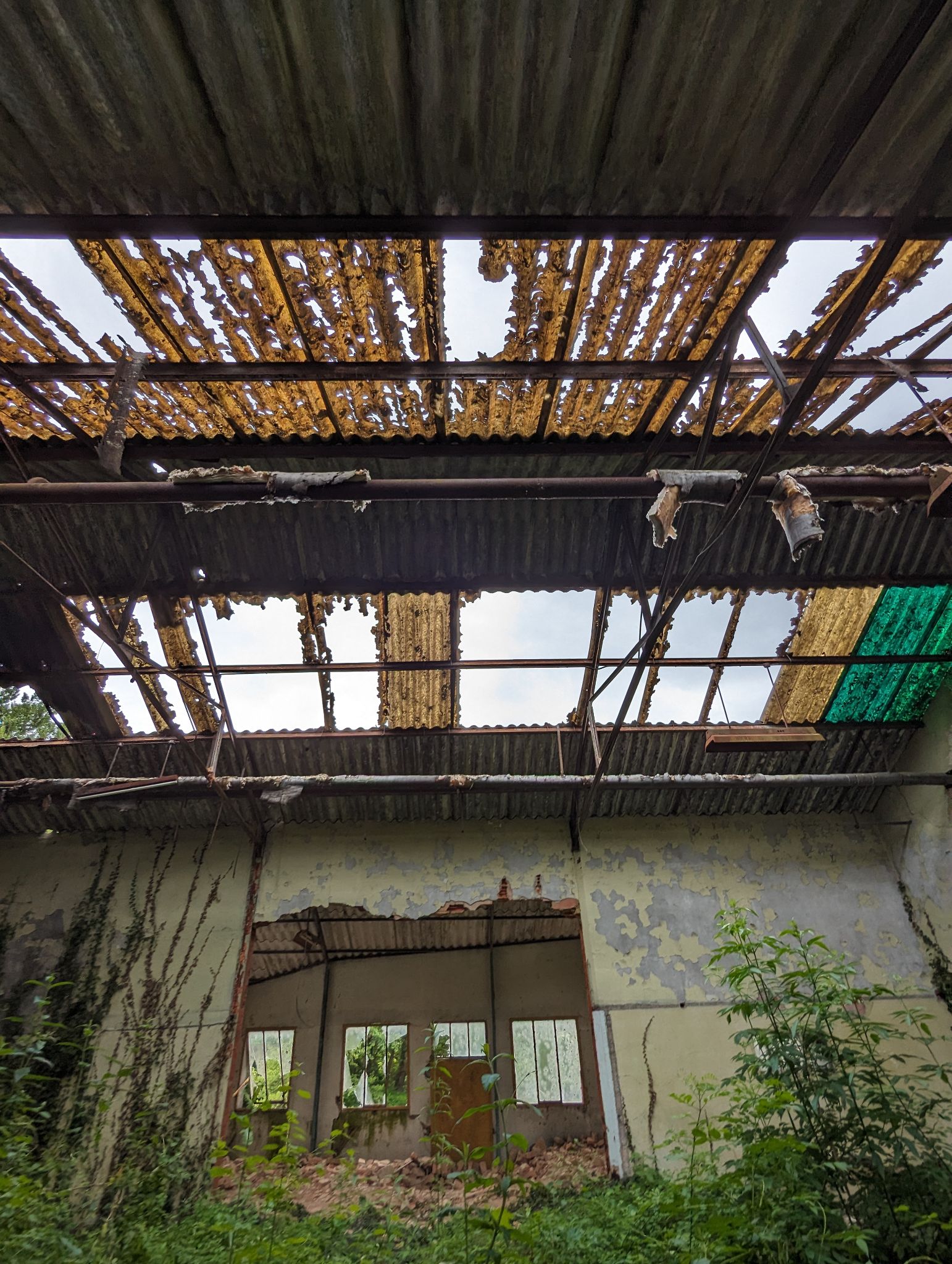 PXL 20240526 091306569