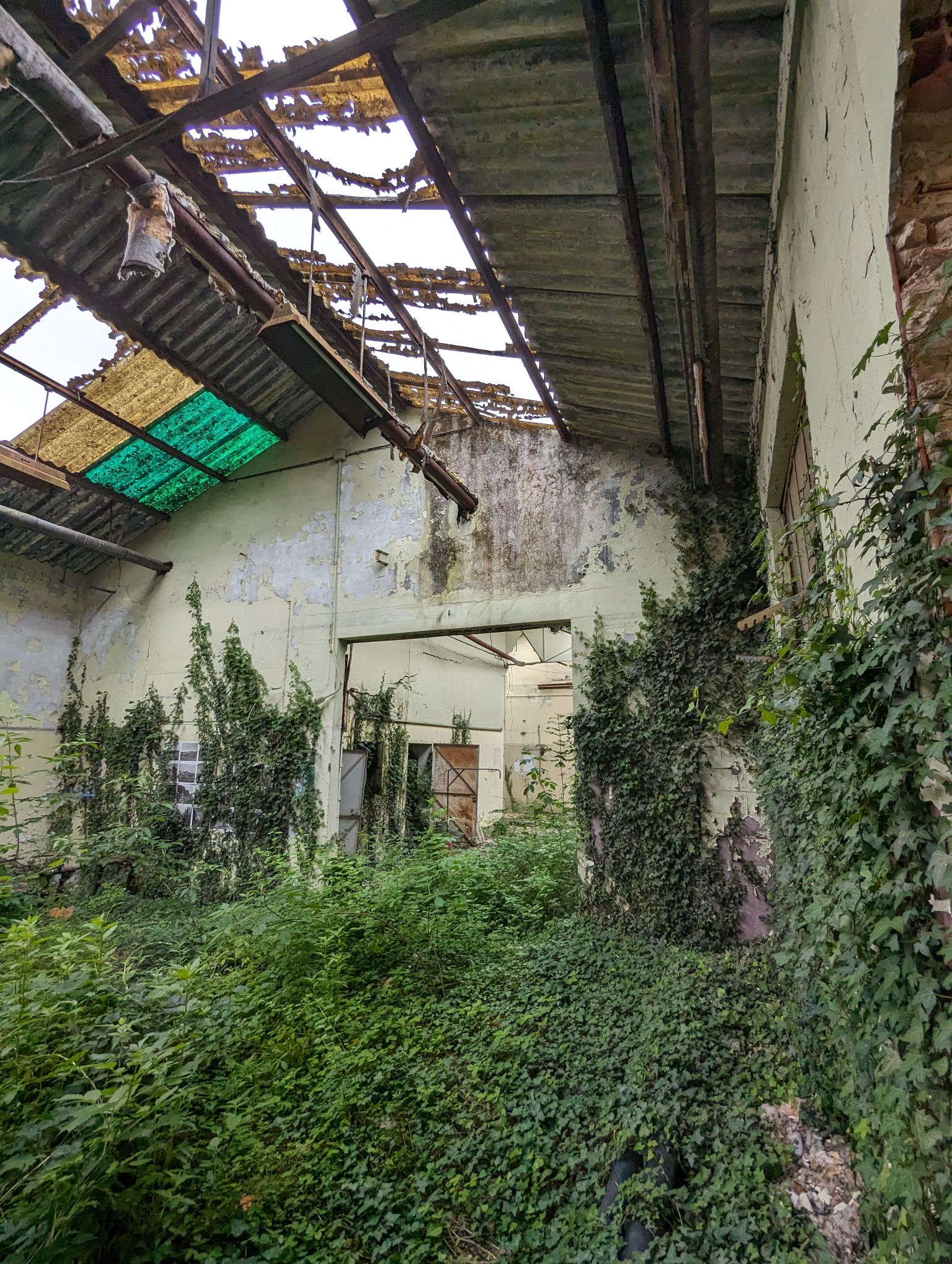 PXL 20240526 091317453