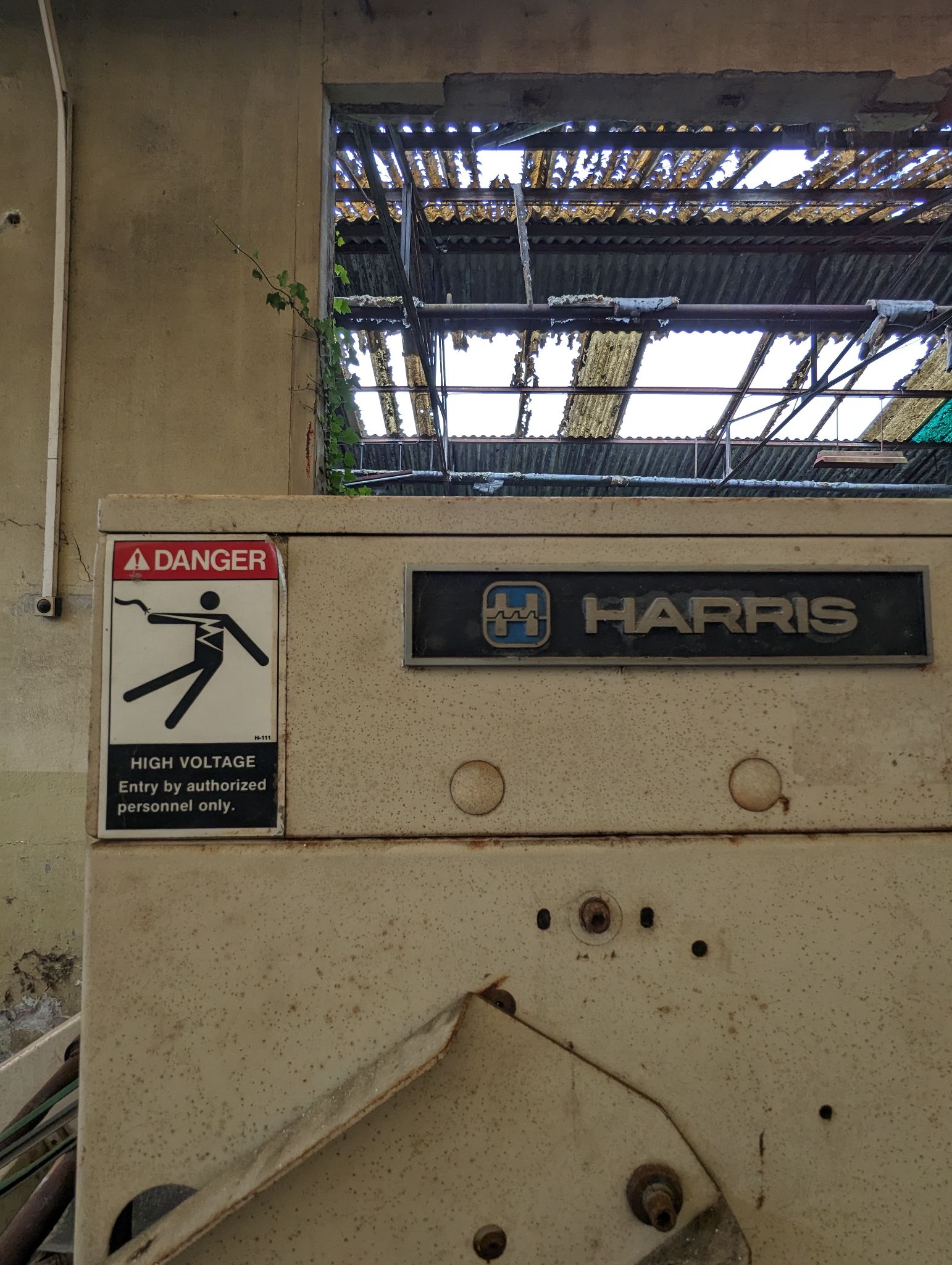 PXL 20240526 091331190