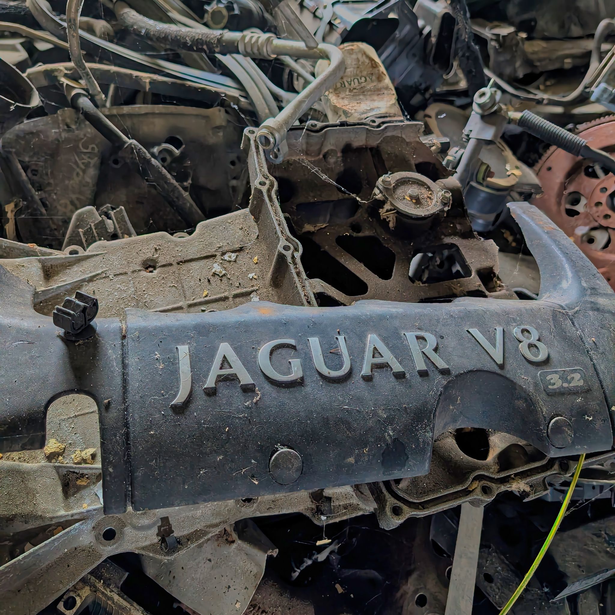 PXL 20250727 085138122