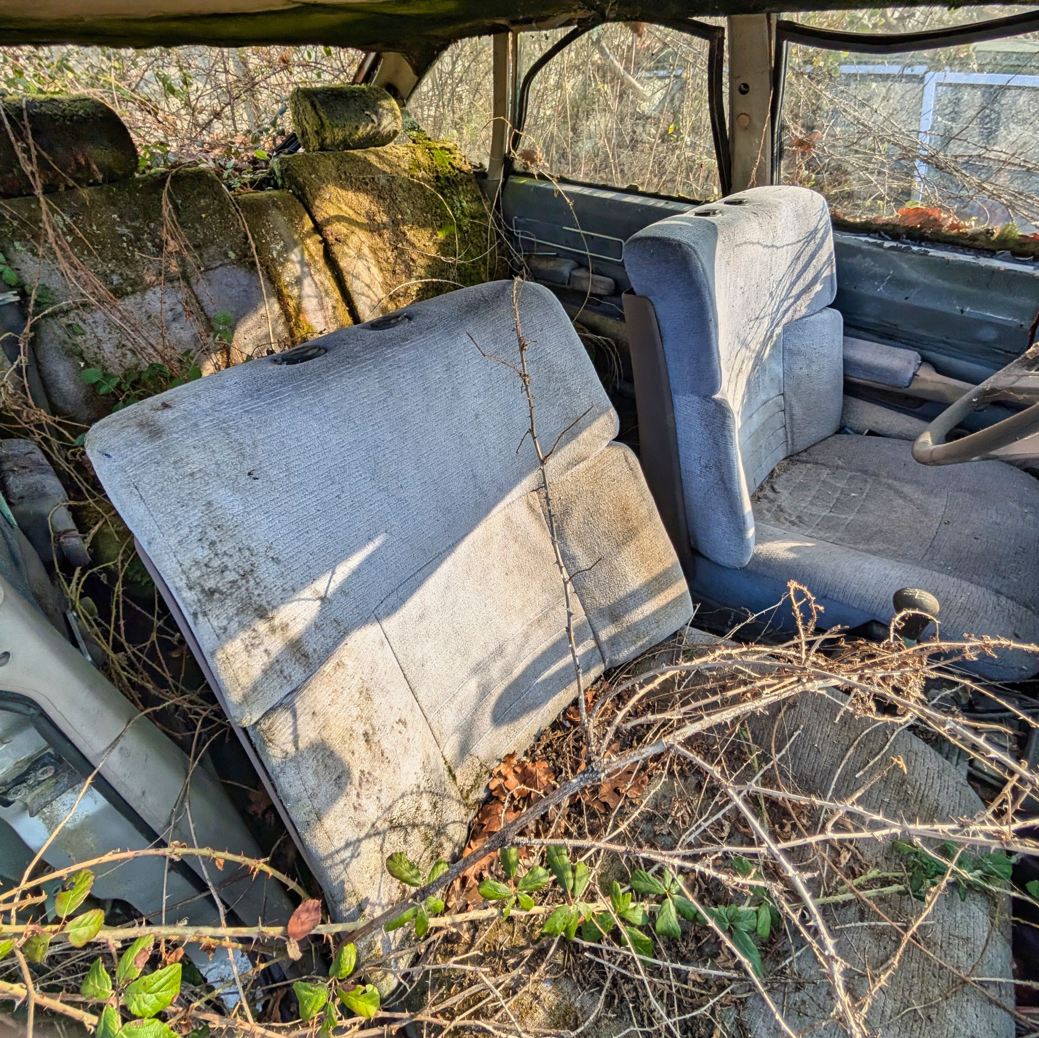 PXL 20250316 092209404