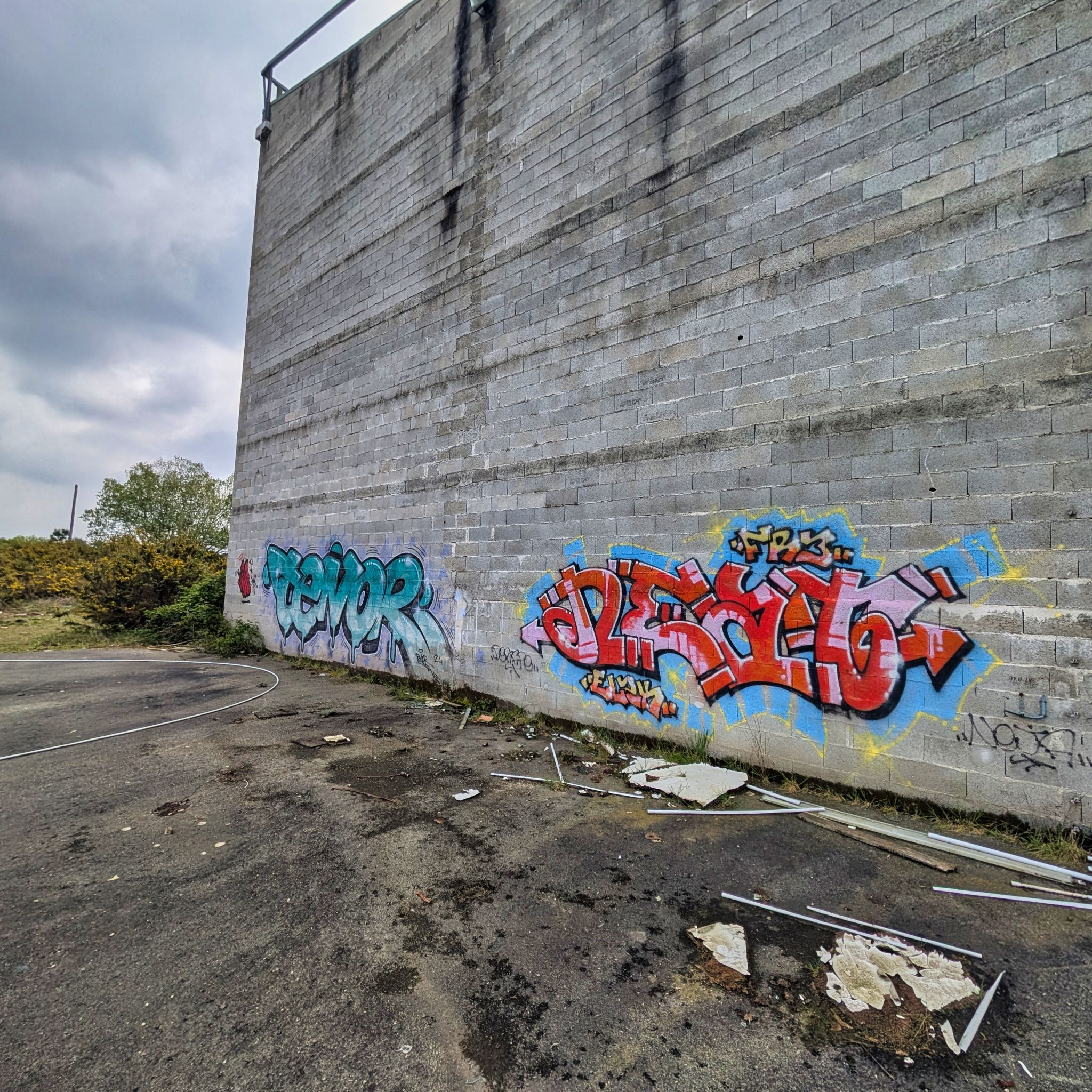 PXL 20250427 121043564