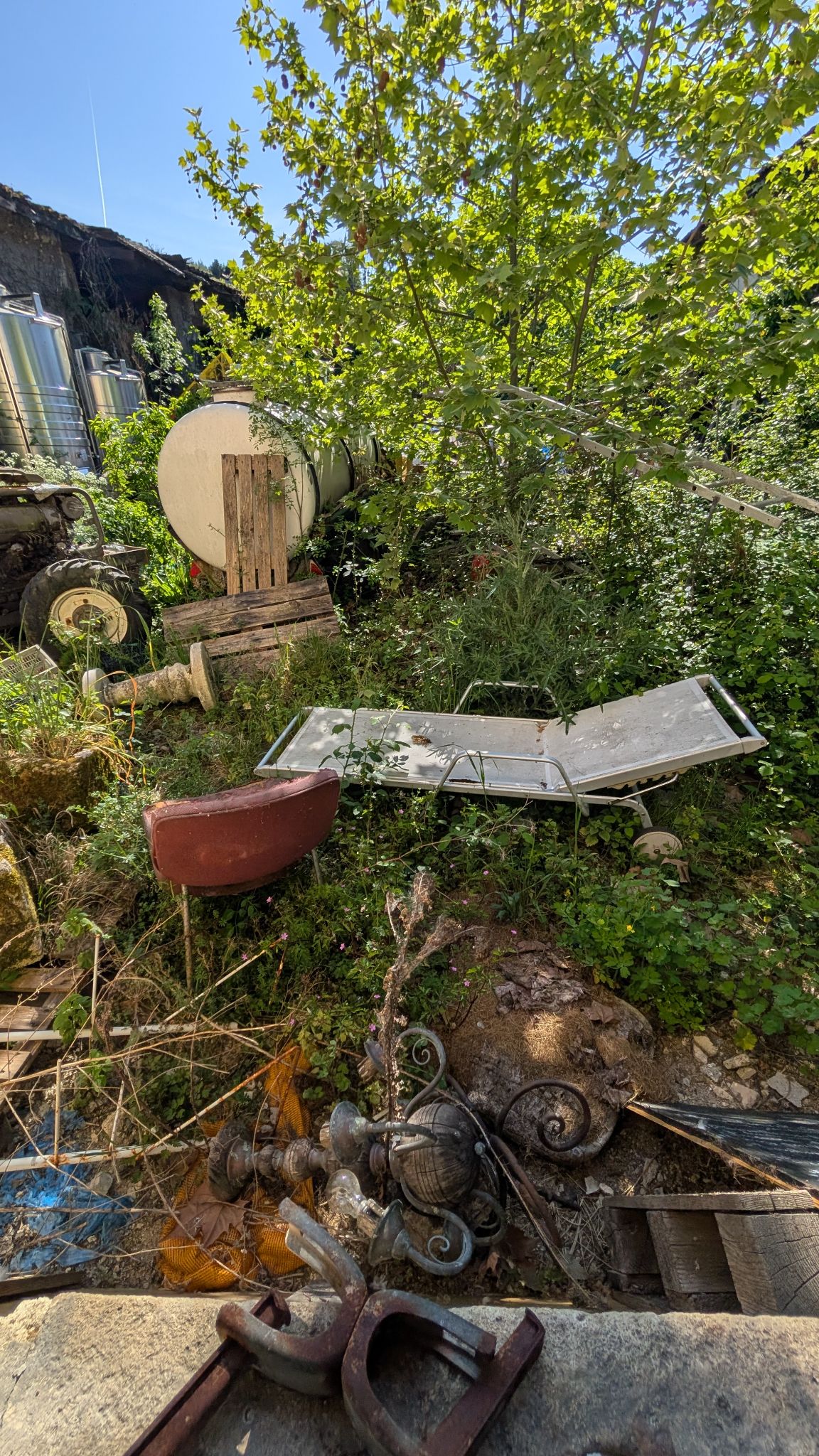 PXL 20260419 150711620