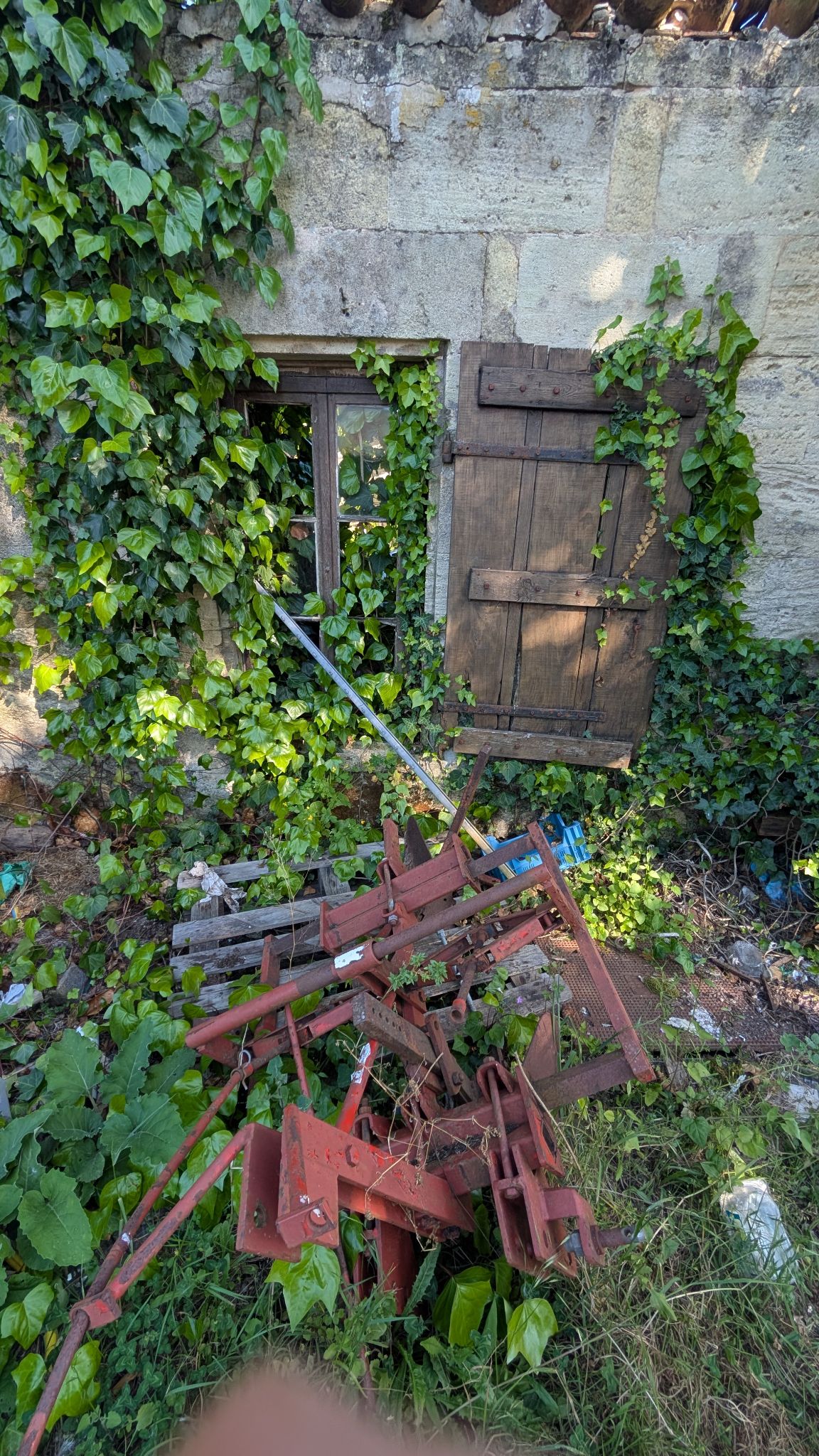 PXL 20260419 151049932