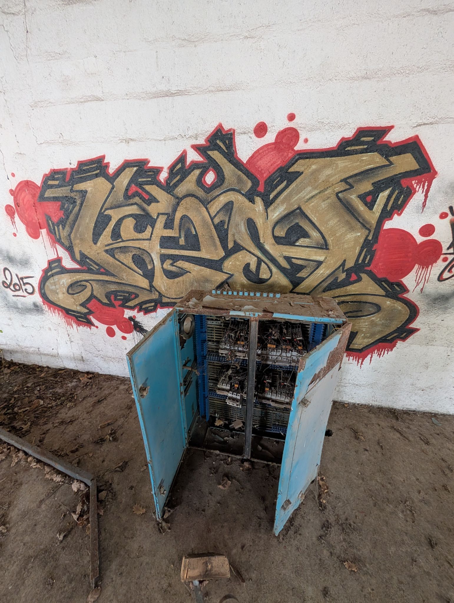 PXL 20260315 151329689