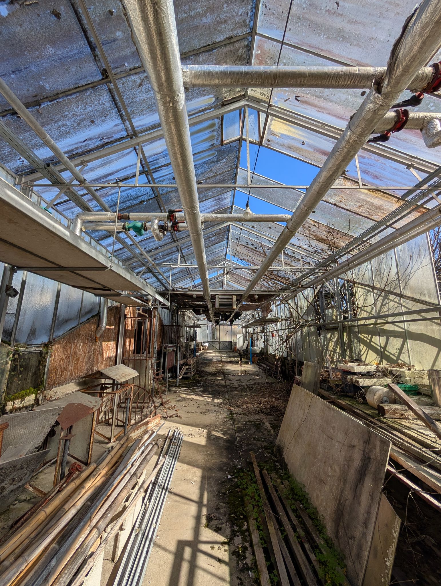 PXL 20260315 143012954