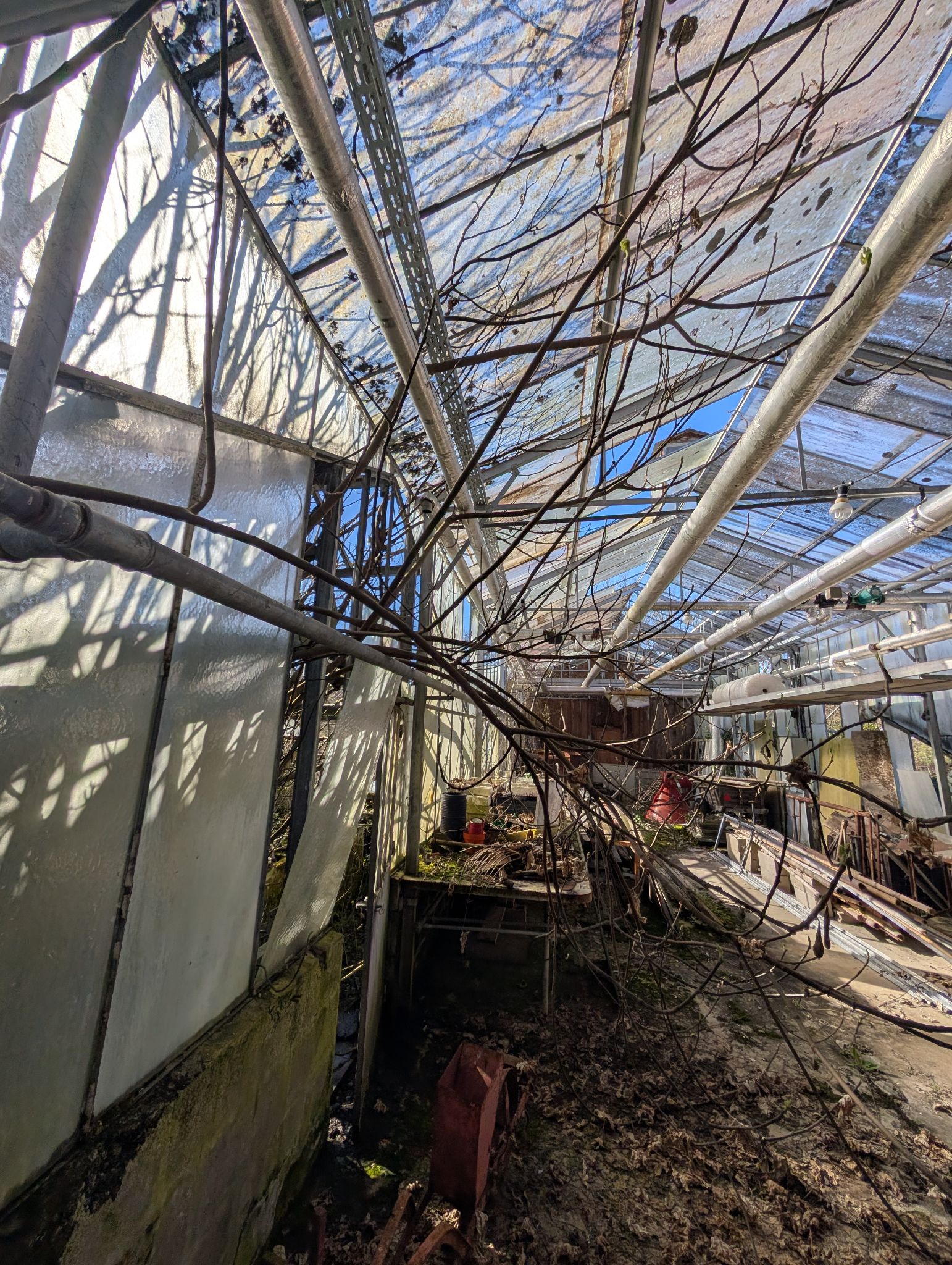 PXL 20260315 143145356