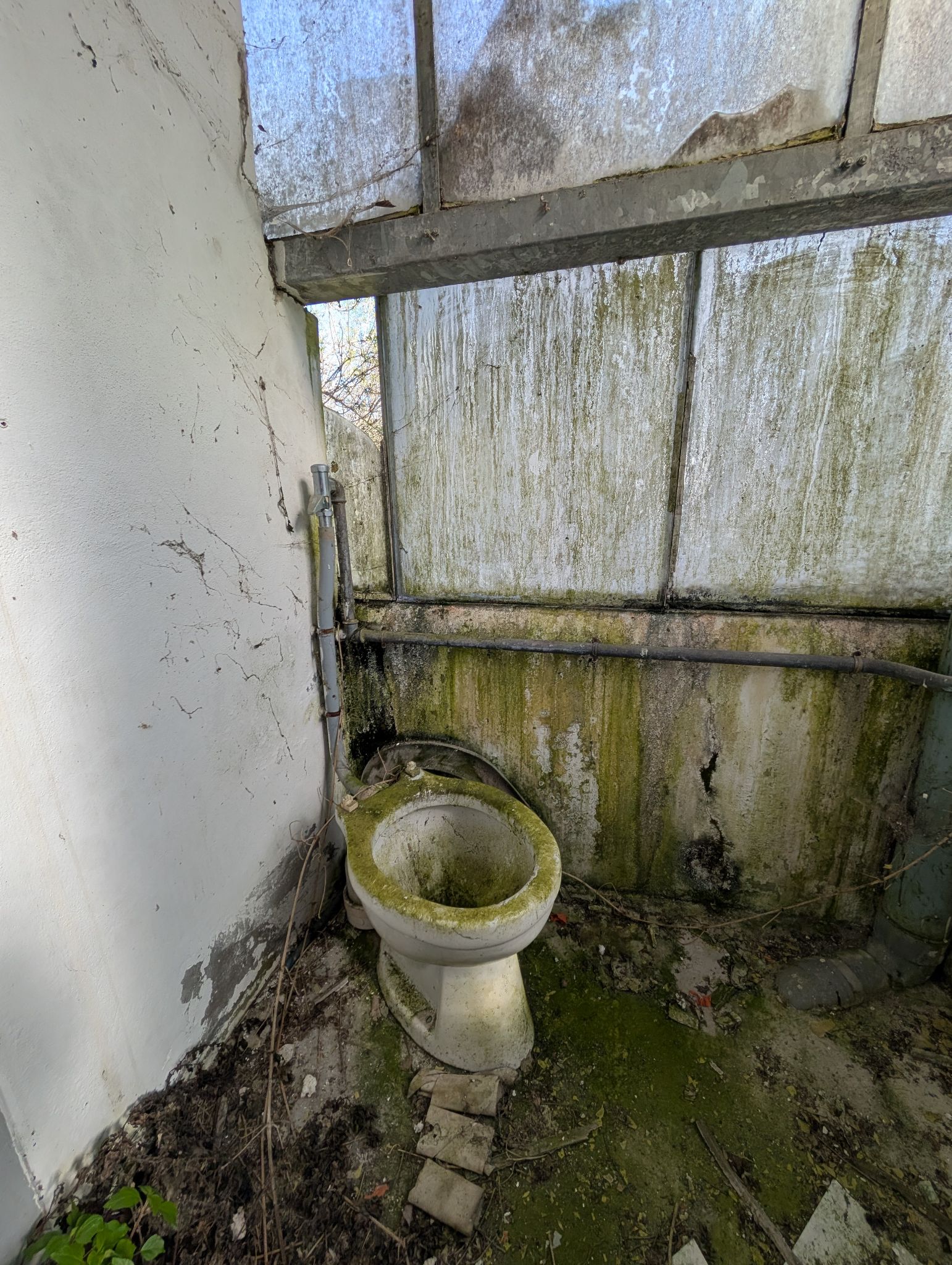 PXL 20260315 143506892.MP