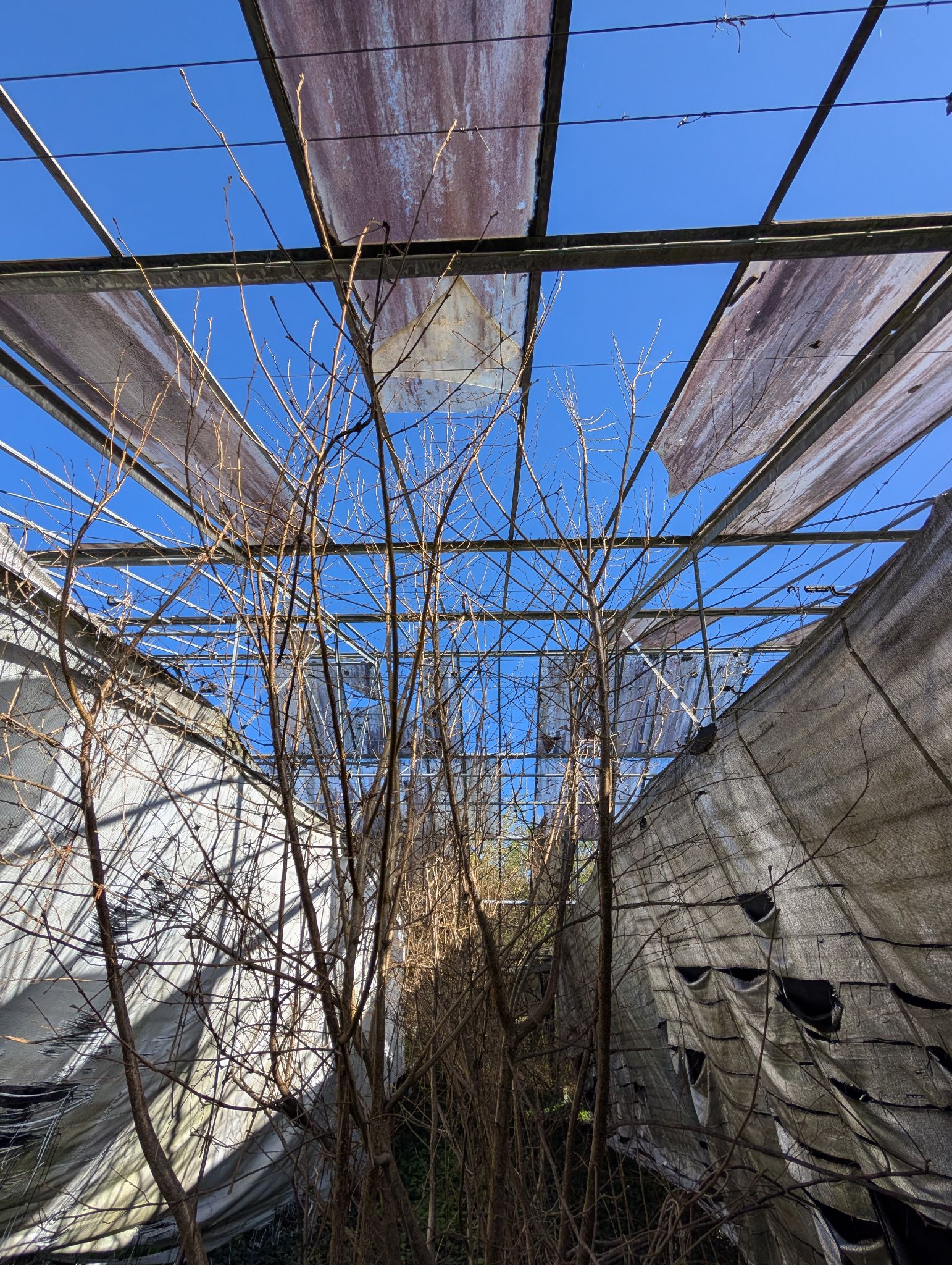 PXL 20260315 143647421