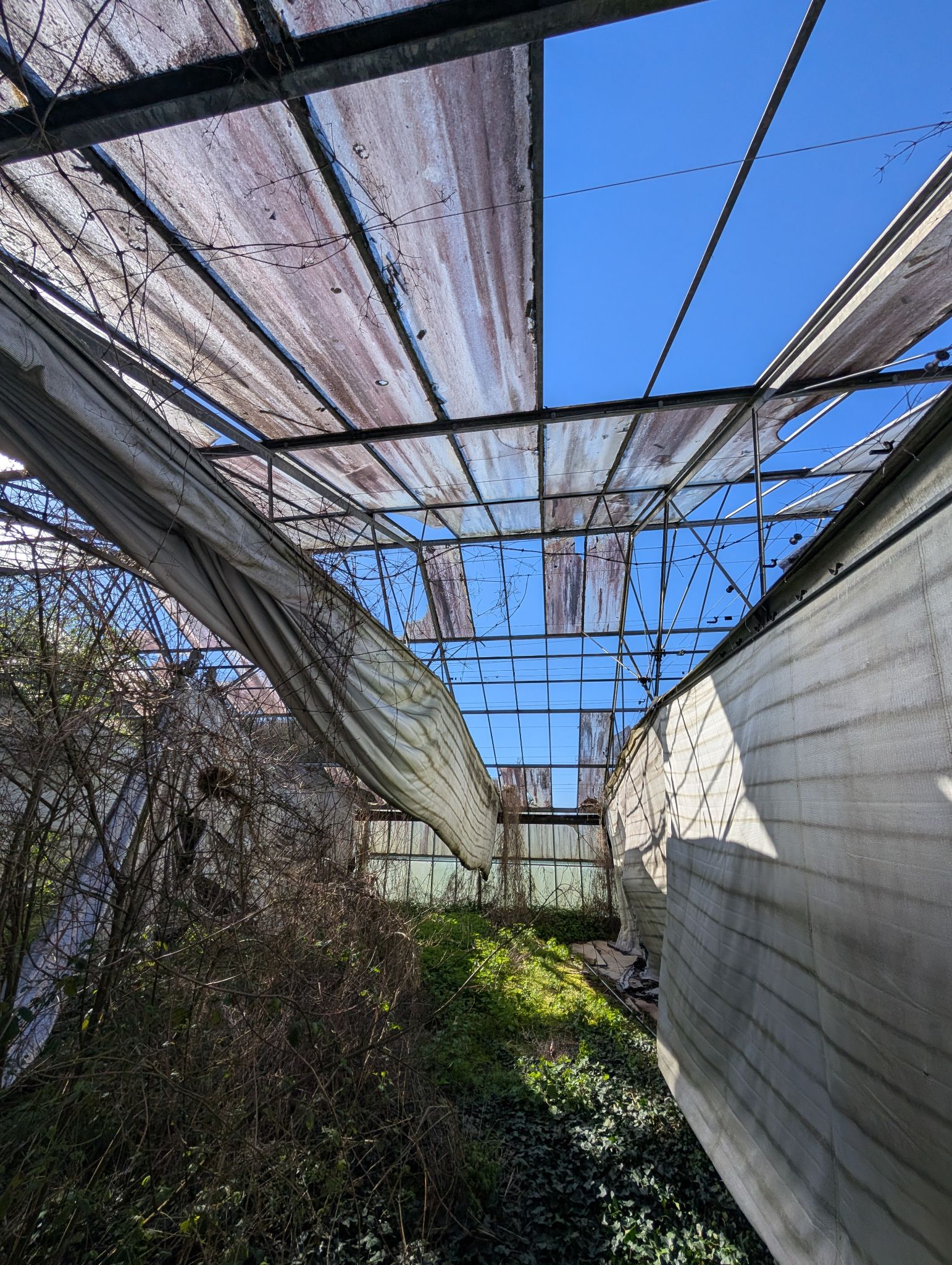 PXL 20260315 143725334