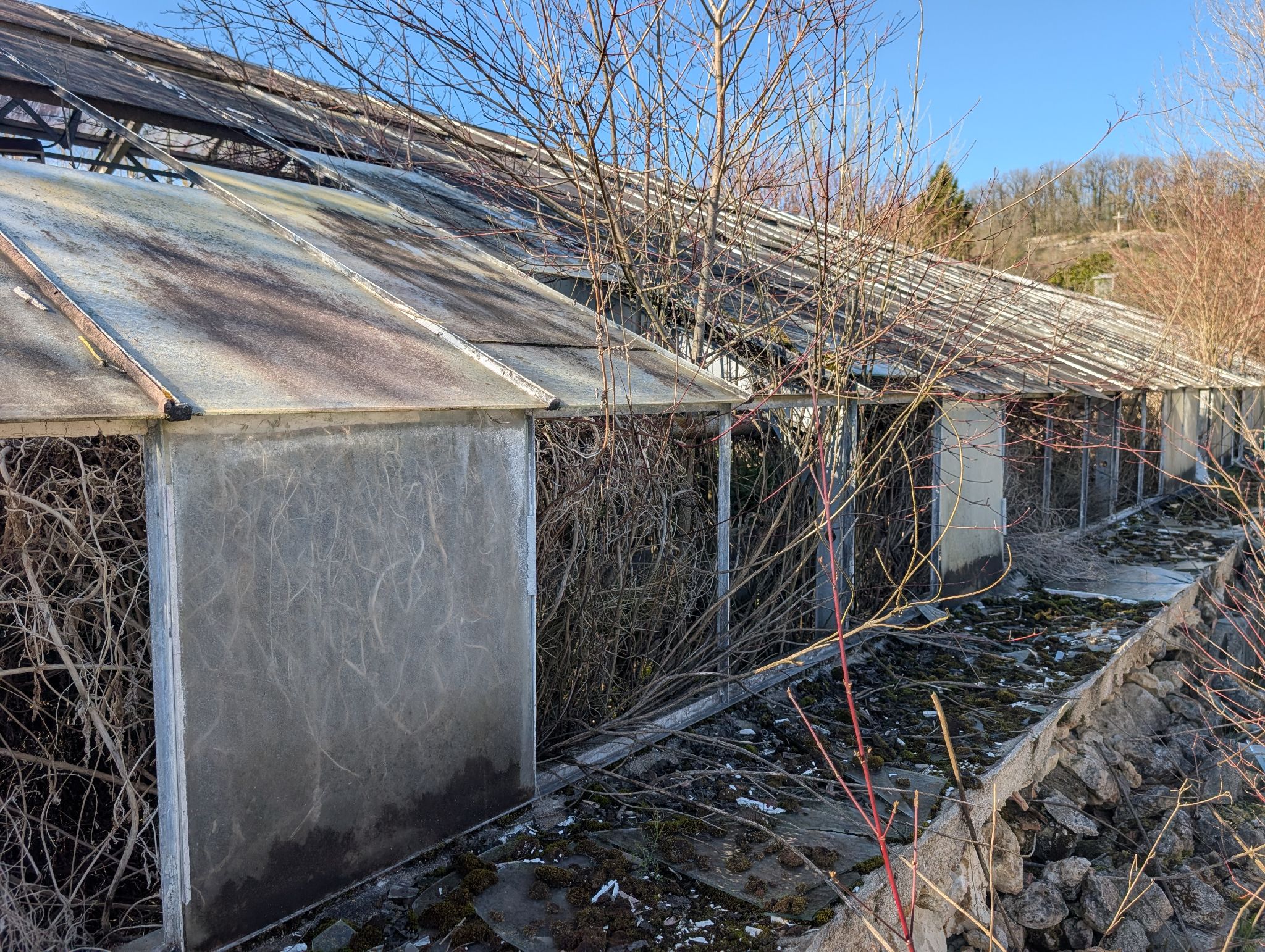 PXL 20260315 144027435.MP