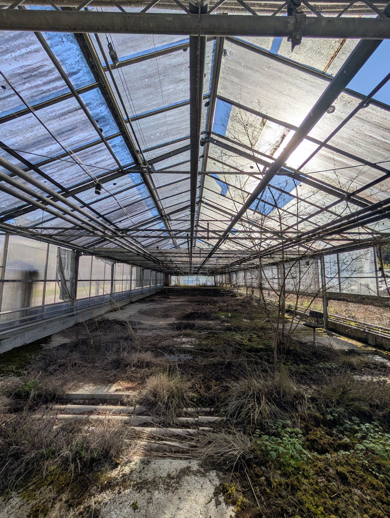 PXL 20260315 144231084