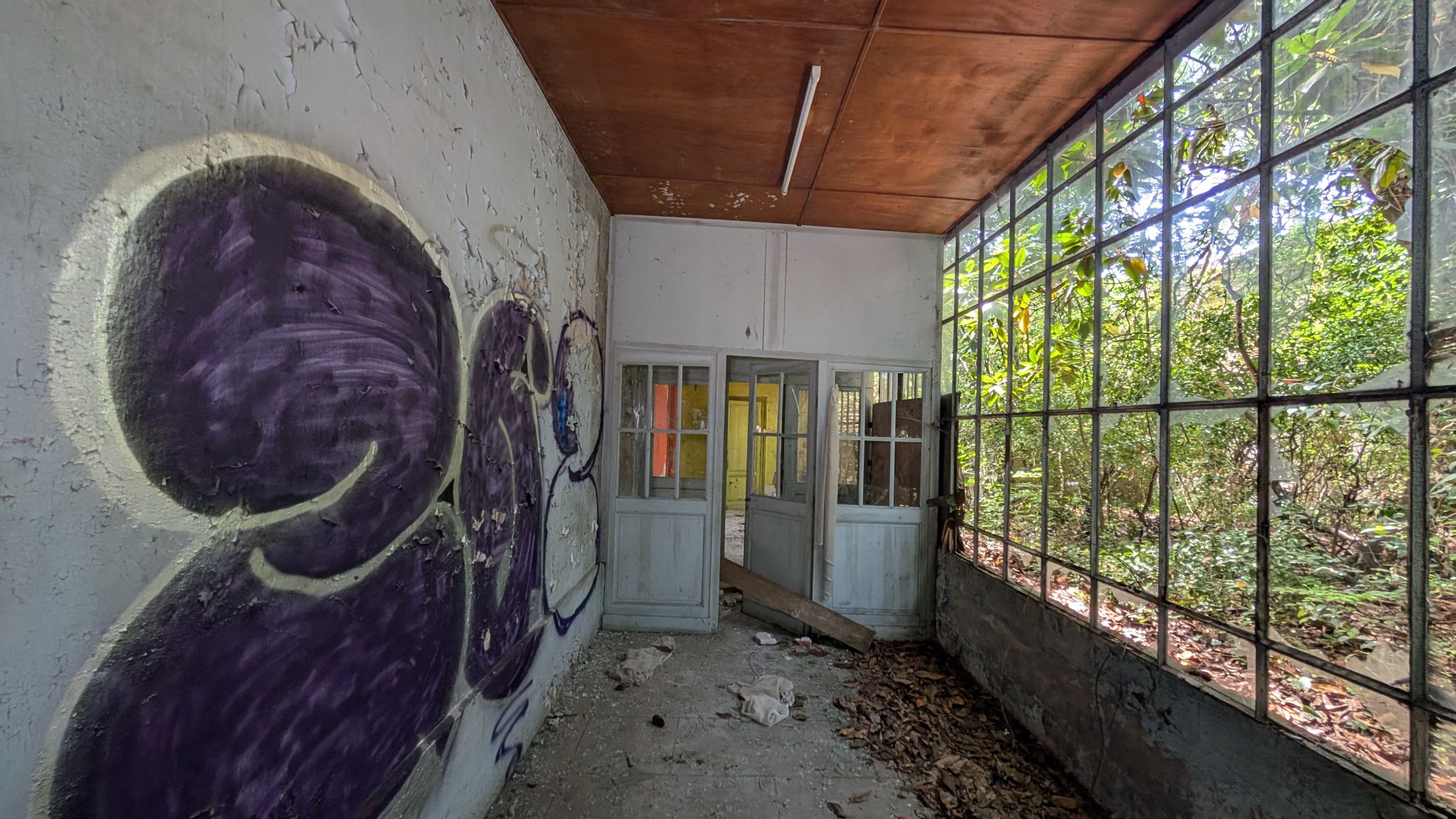 PXL 20260427 123852660