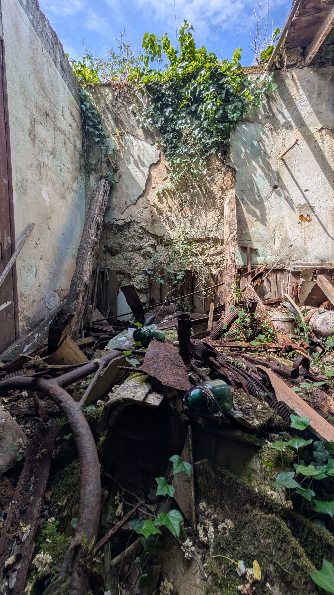 PXL 20260427 125401629