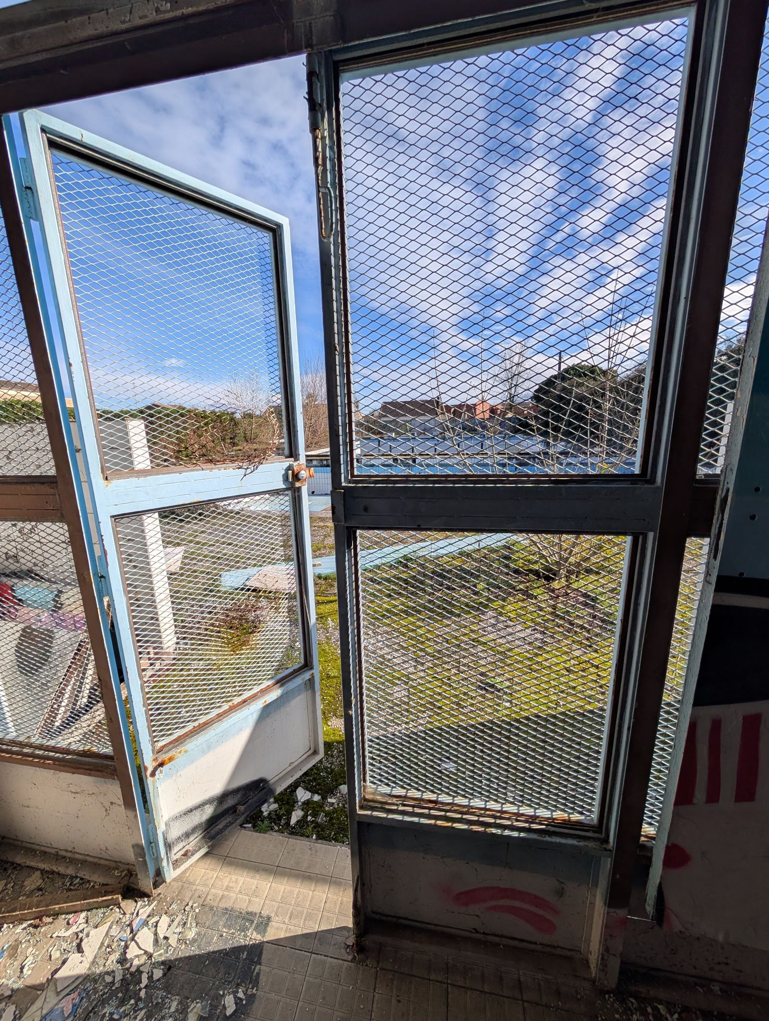 PXL 20260208 141505855