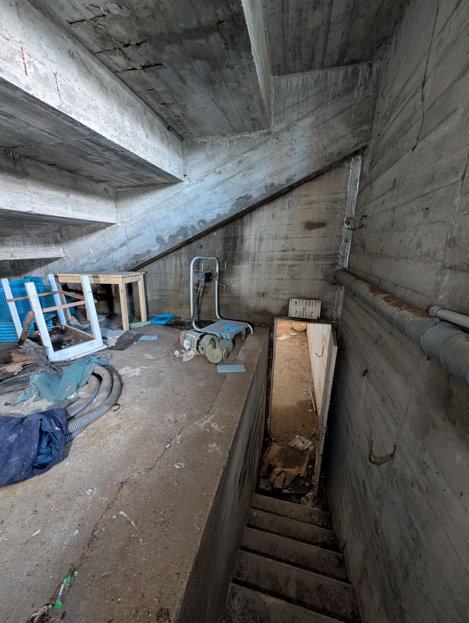 PXL 20260208 142307519