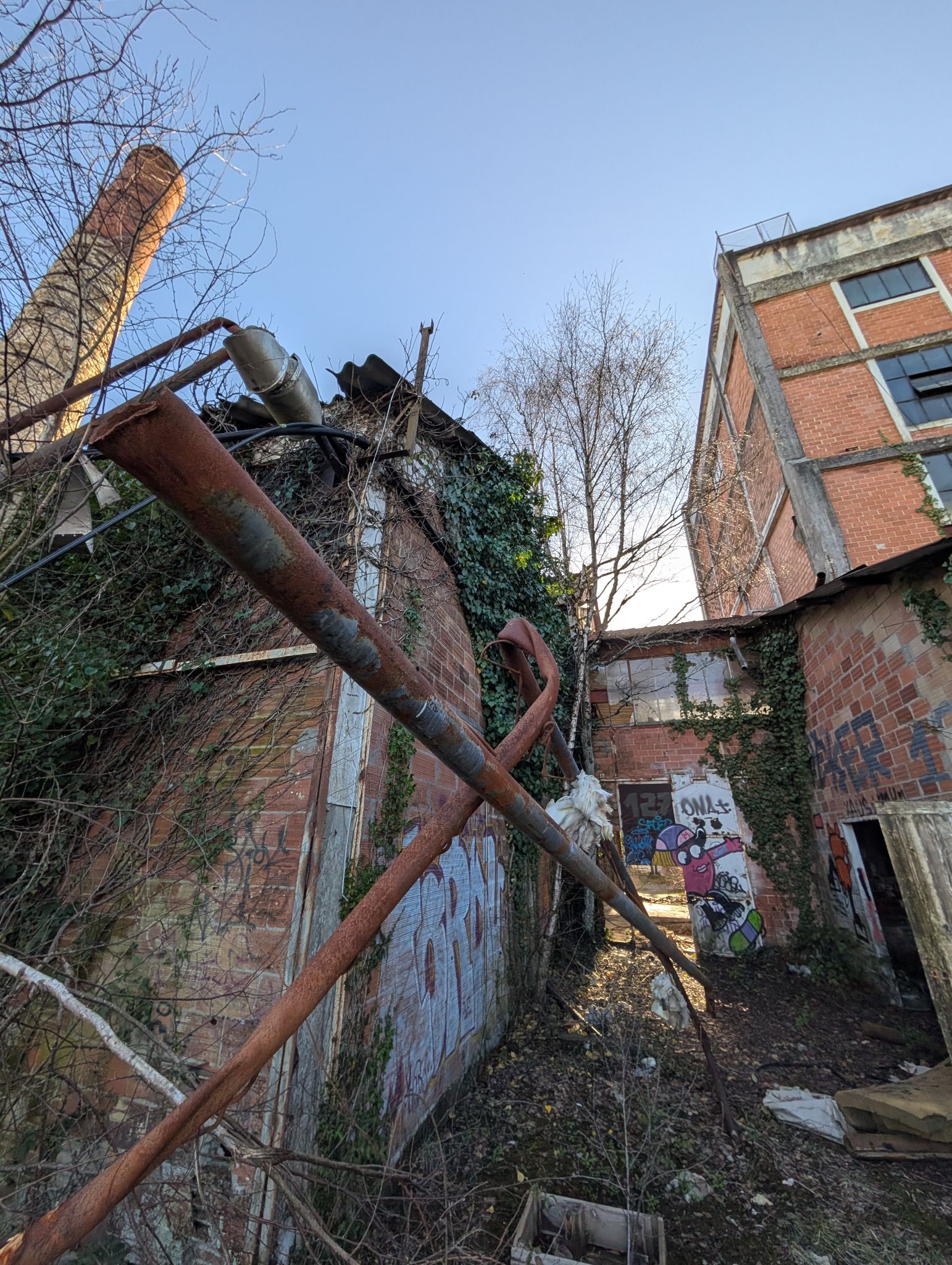 PXL 20260228 154201433