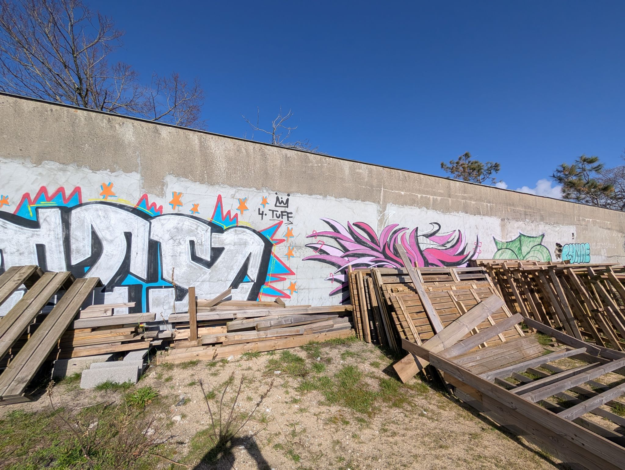 PXL 20260228 123906813